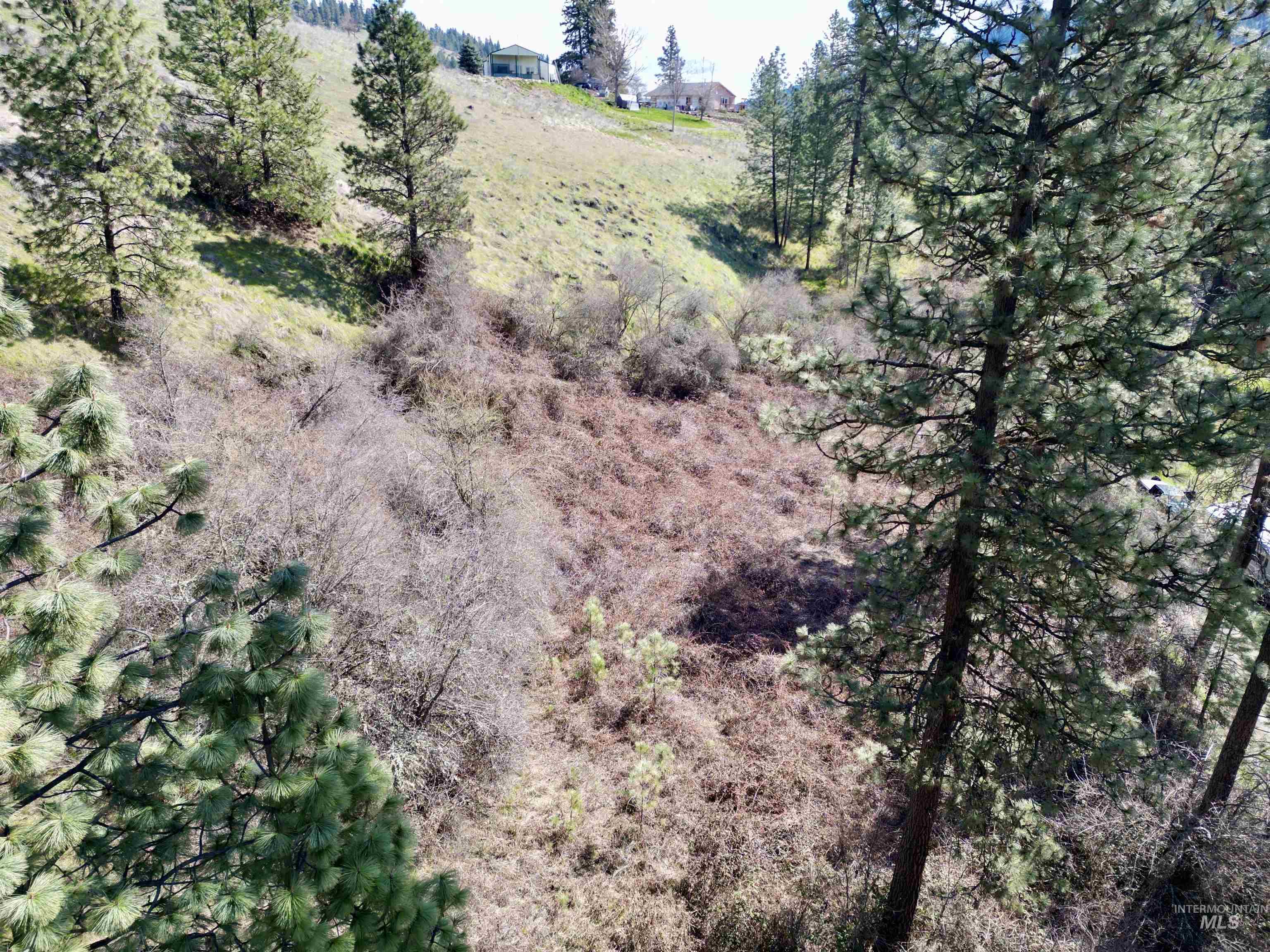 TBD Old Peck Grade, Lenore, Idaho 83541, Land For Sale, Price $45,000, 98993217