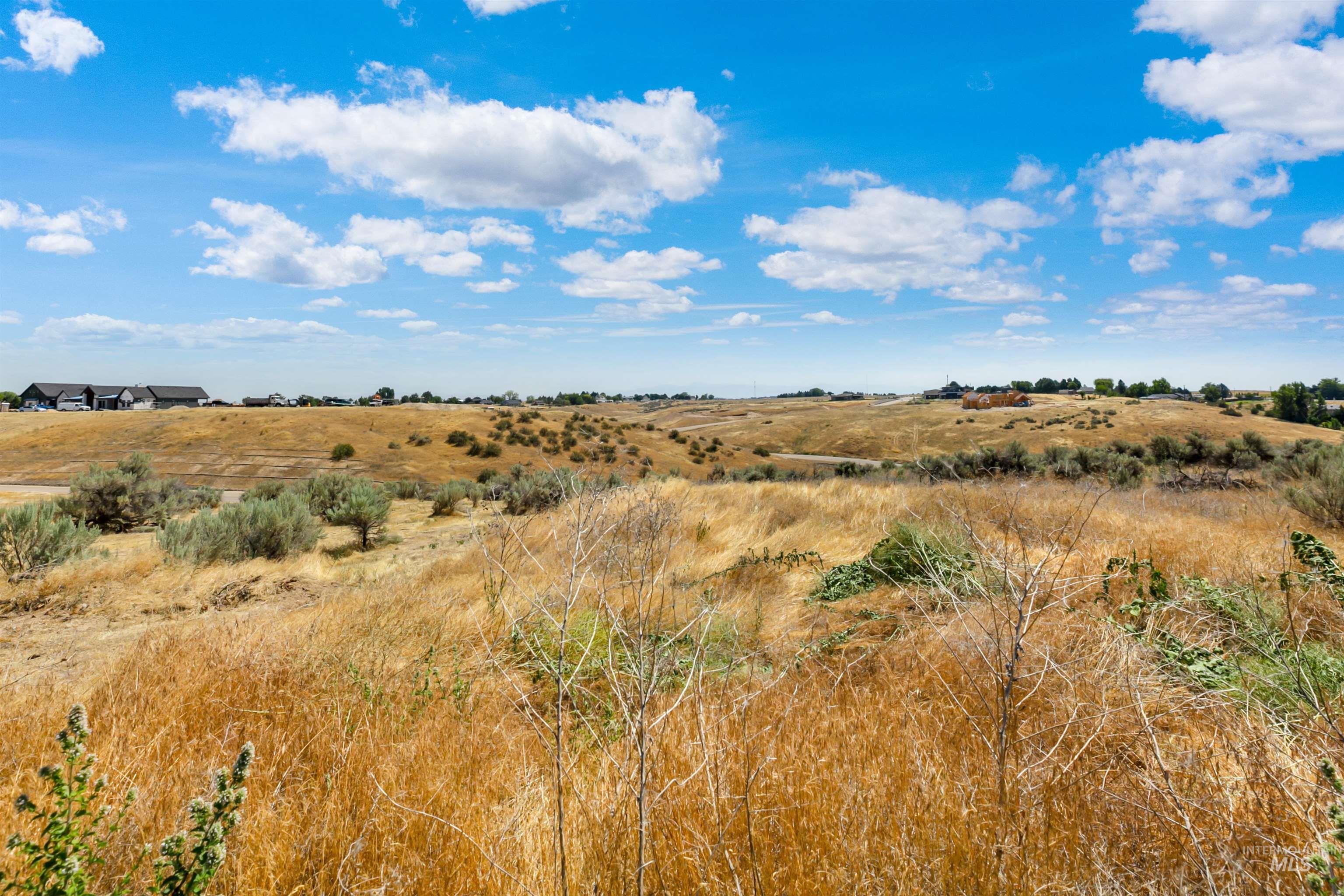 24398 TOMBSTONE RIDGE CT., Middleton, Idaho 83644-5470, 4 Bedrooms, 2.5 Bathrooms, Residential For Sale, Price $1,199,999,MLS 98993236