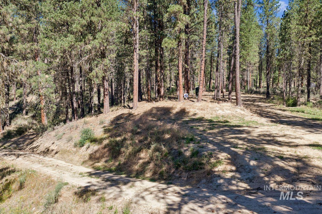 100 Grimes Pass Rd, Idaho City, Idaho 83631, 4 Bedrooms, 1 Bathroom, Residential For Sale, Price $400,000,MLS 98993245