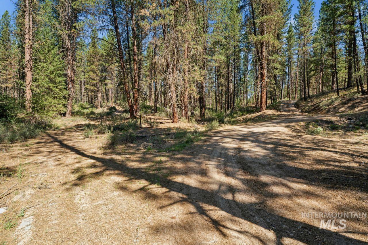 100 Grimes Pass Rd, Idaho City, Idaho 83631, 4 Bedrooms, 1 Bathroom, Residential For Sale, Price $400,000,MLS 98993246