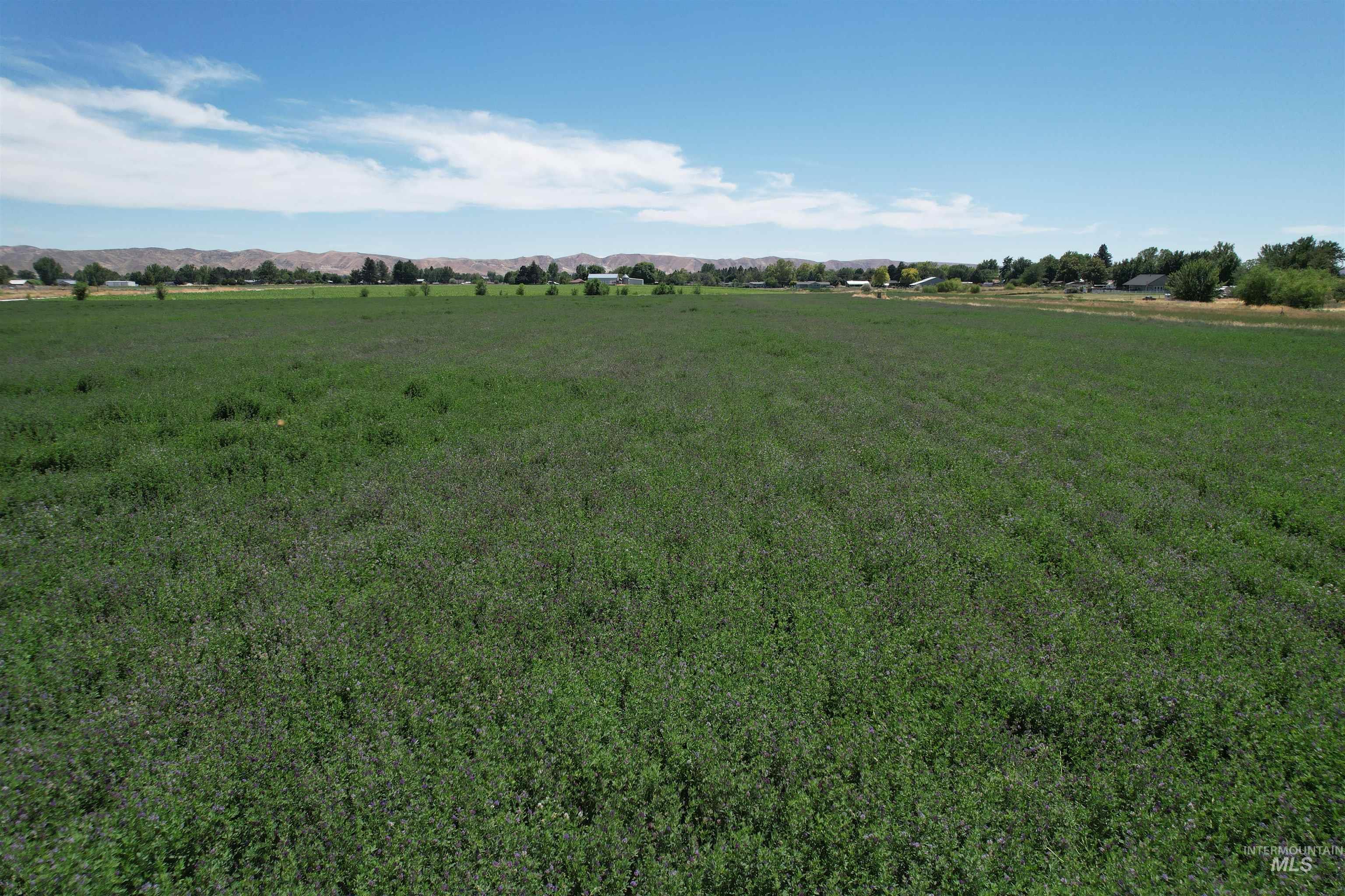 TBD E Black Canyon Hwy, Emmett, Idaho 83617, Land For Sale, Price $1,300,000, 98993275