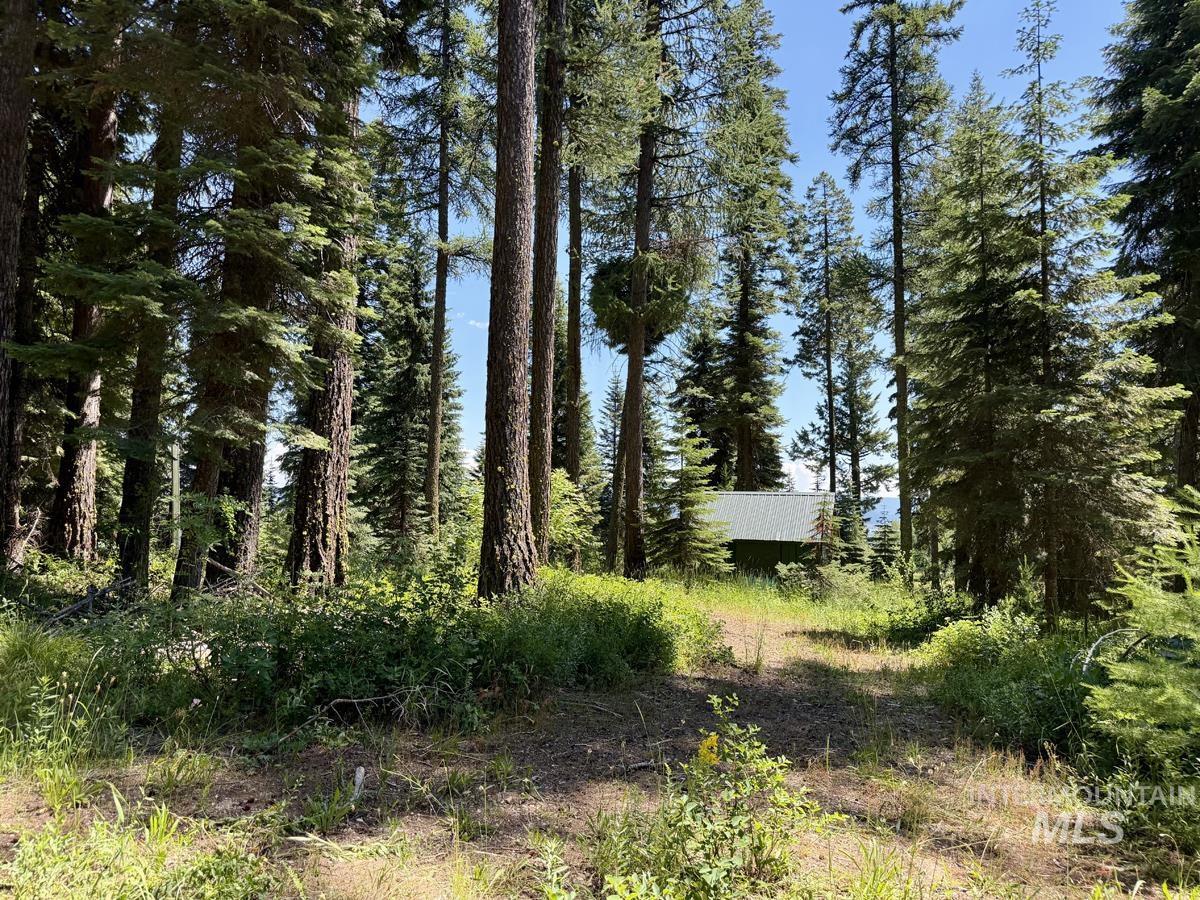 1610 Bear Trail Loop, Donnelly, Idaho 83615, Land For Sale, Price $280,000, 98993287