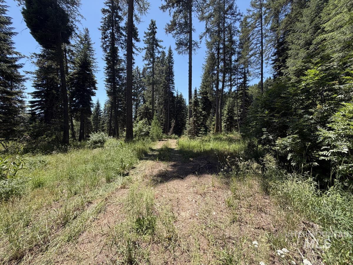 1610 Bear Trail Loop, Donnelly, Idaho 83615, Land For Sale, Price $280,000, 98993287