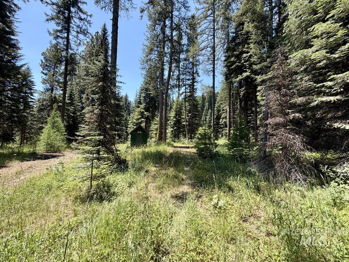 1610 Bear Trail Loop, Donnelly, Idaho 83615, Land For Sale, Price $280,000, 98993287