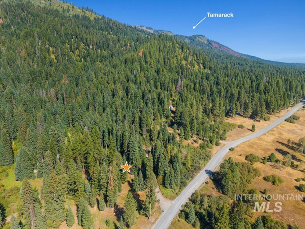 1610 Bear Trail Loop, Donnelly, Idaho 83615, Land For Sale, Price $280,000, 98993287