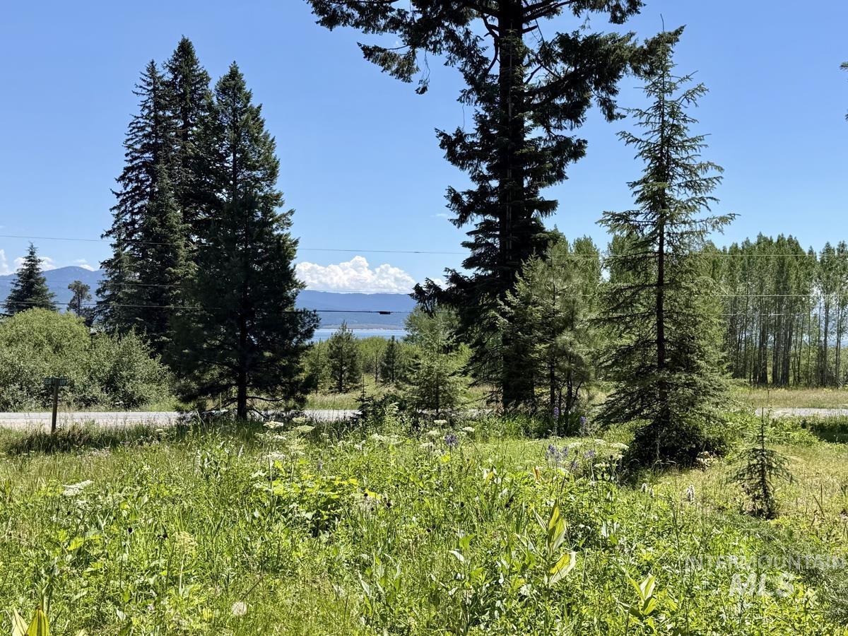 1610 Bear Trail Loop, Donnelly, Idaho 83615, Land For Sale, Price $280,000, 98993287