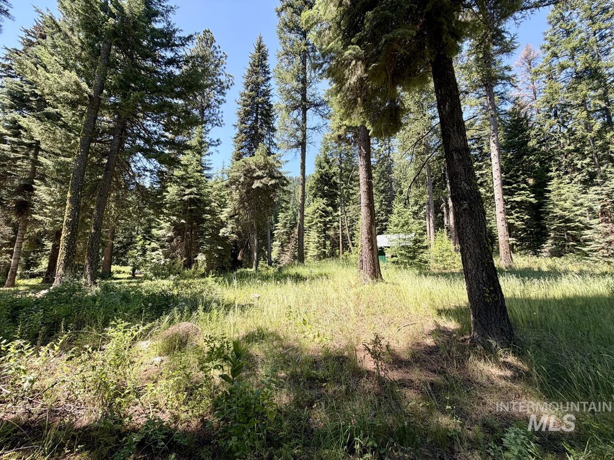 1610 Bear Trail Loop, Donnelly, Idaho 83615, Land For Sale, Price $280,000, 98993287