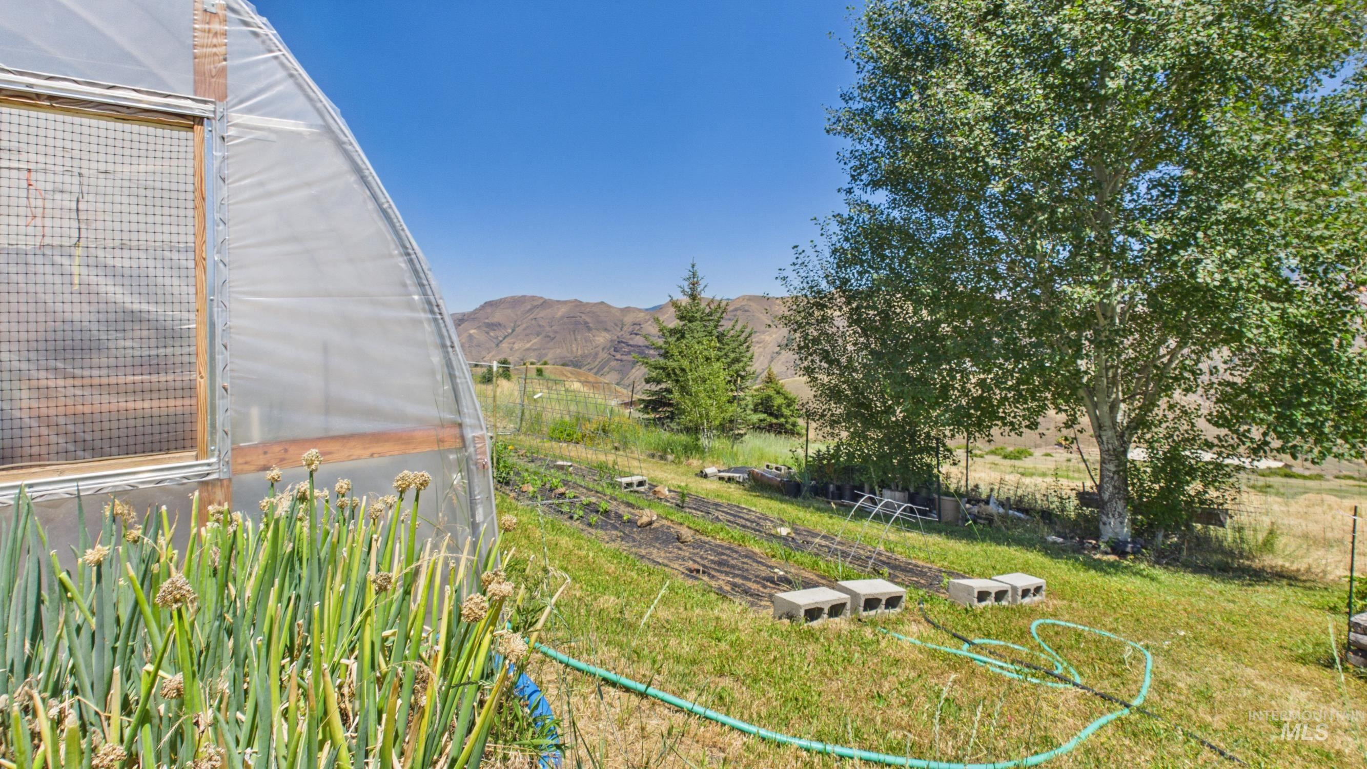 146 Hammer Creek Rd, White Bird, Idaho 83554, 3 Bedrooms, 2 Bathrooms, Residential For Sale, Price $525,000,MLS 98993318