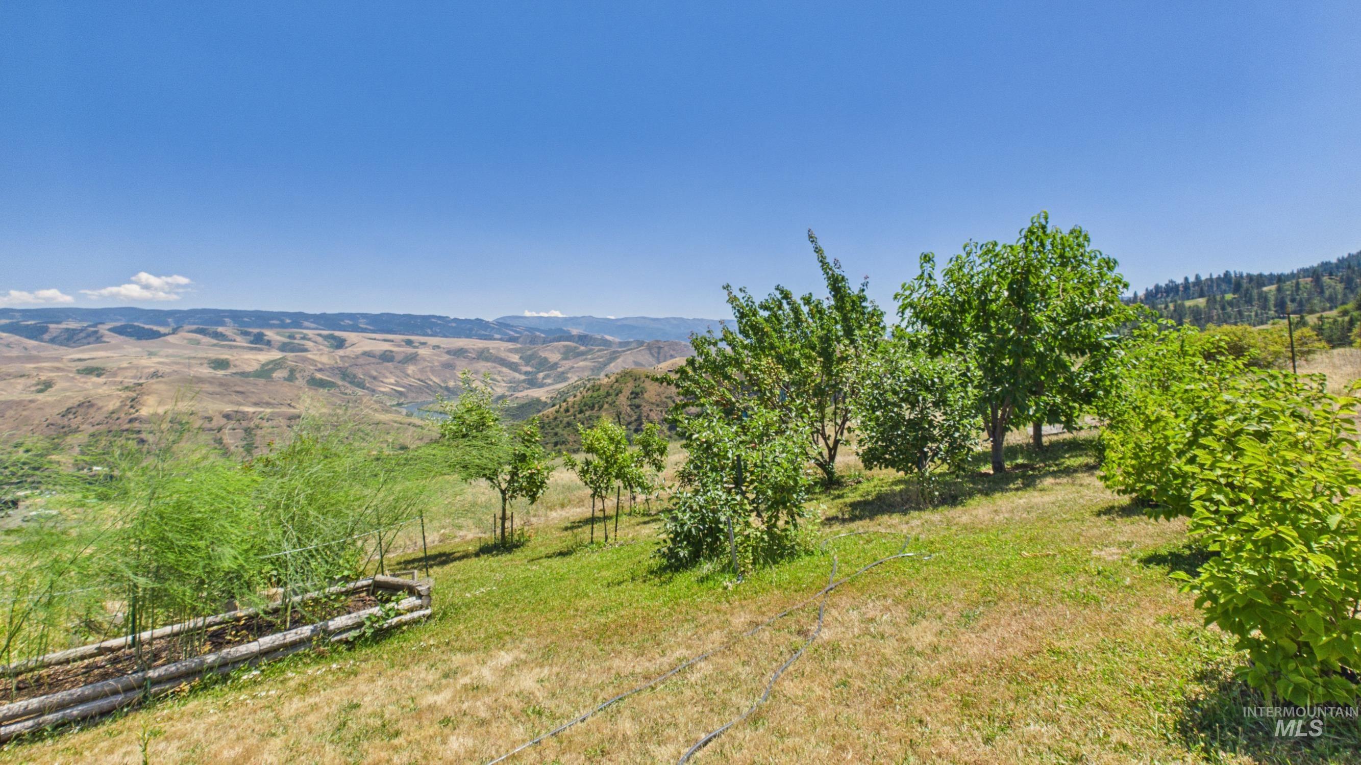 146 Hammer Creek Rd, White Bird, Idaho 83554, 3 Bedrooms, 2 Bathrooms, Residential For Sale, Price $525,000,MLS 98993318