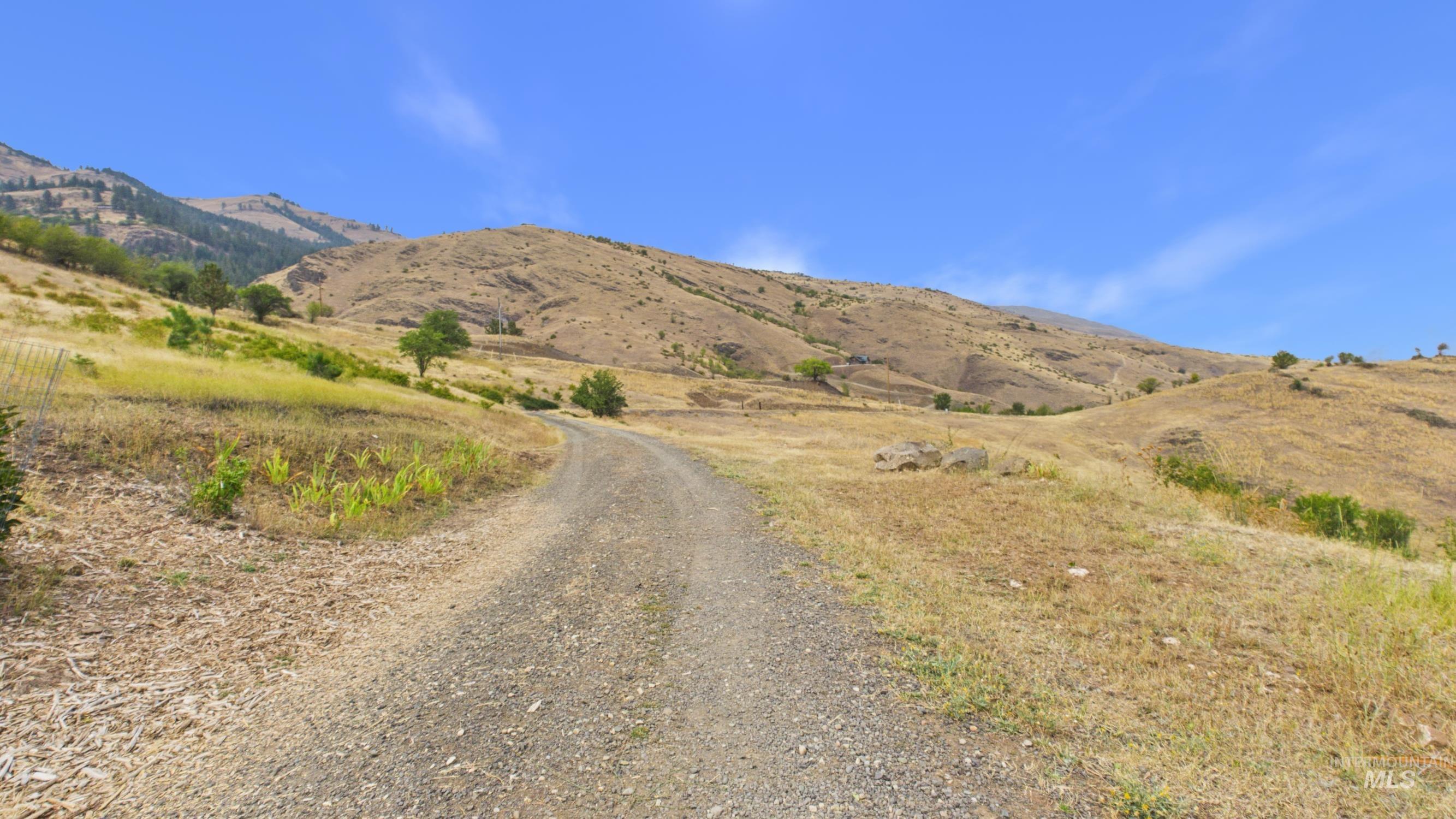 146 Hammer Creek Rd, White Bird, Idaho 83554, 3 Bedrooms, 2 Bathrooms, Residential For Sale, Price $525,000,MLS 98993318