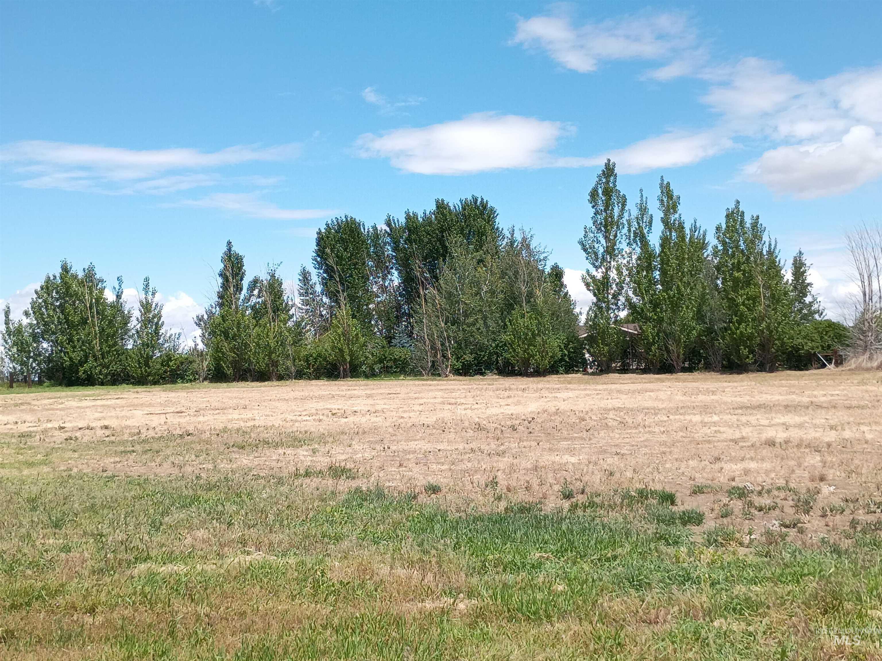 1127 E 720 N, Richfield, Idaho 83349, 3 Bedrooms, 2 Bathrooms, Residential For Sale, Price $375,000,MLS 98993355