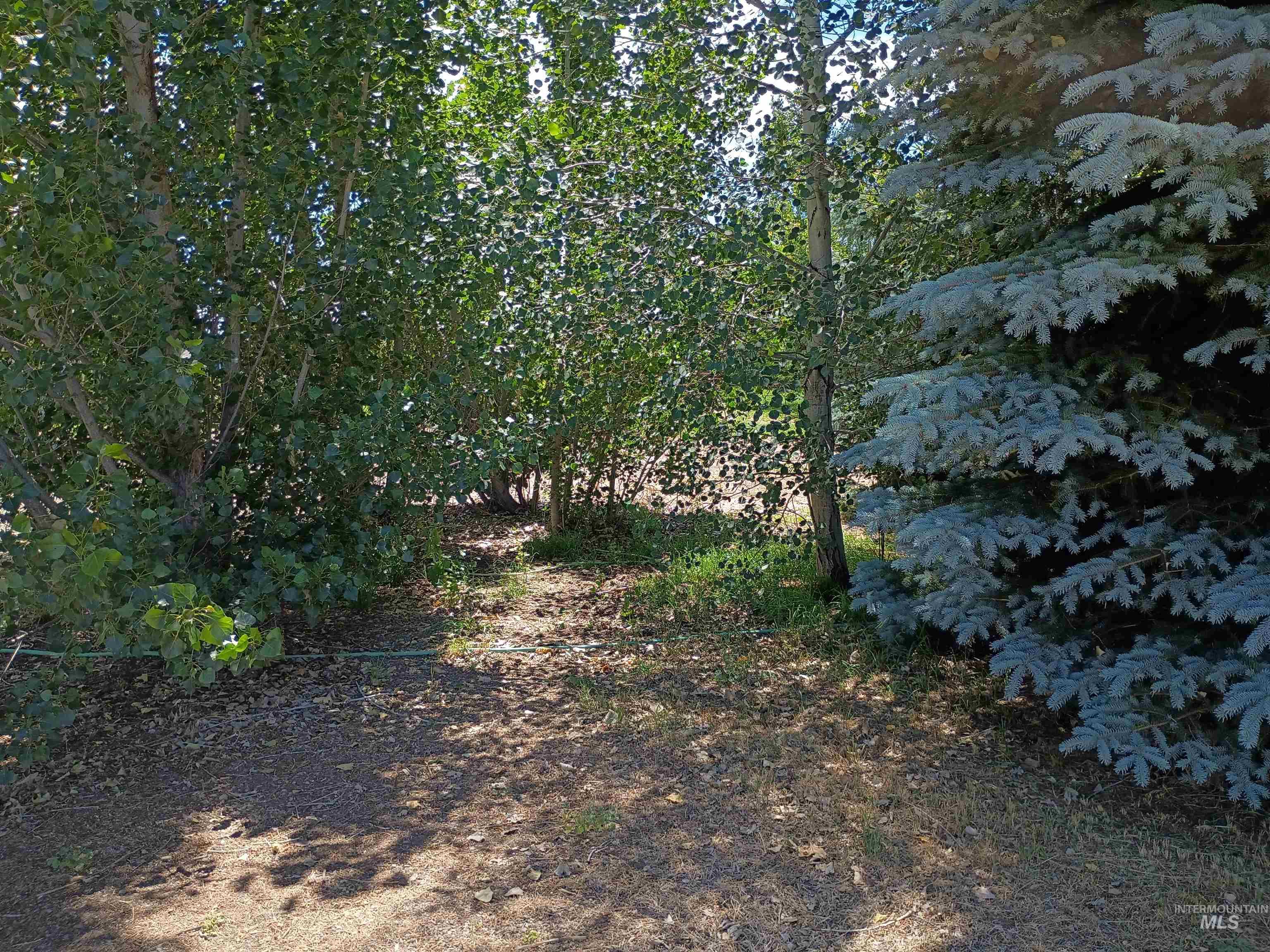 1127 E 720 N, Richfield, Idaho 83349, 3 Bedrooms, 2 Bathrooms, Residential For Sale, Price $375,000,MLS 98993355