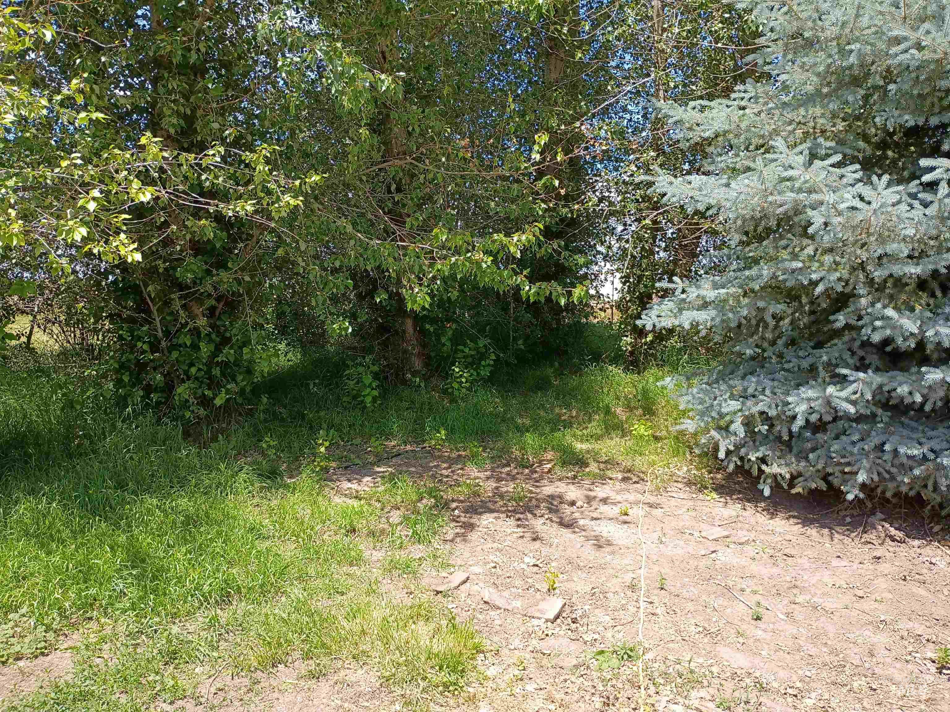 1127 E 720 N, Richfield, Idaho 83349, 3 Bedrooms, 2 Bathrooms, Residential For Sale, Price $375,000,MLS 98993355