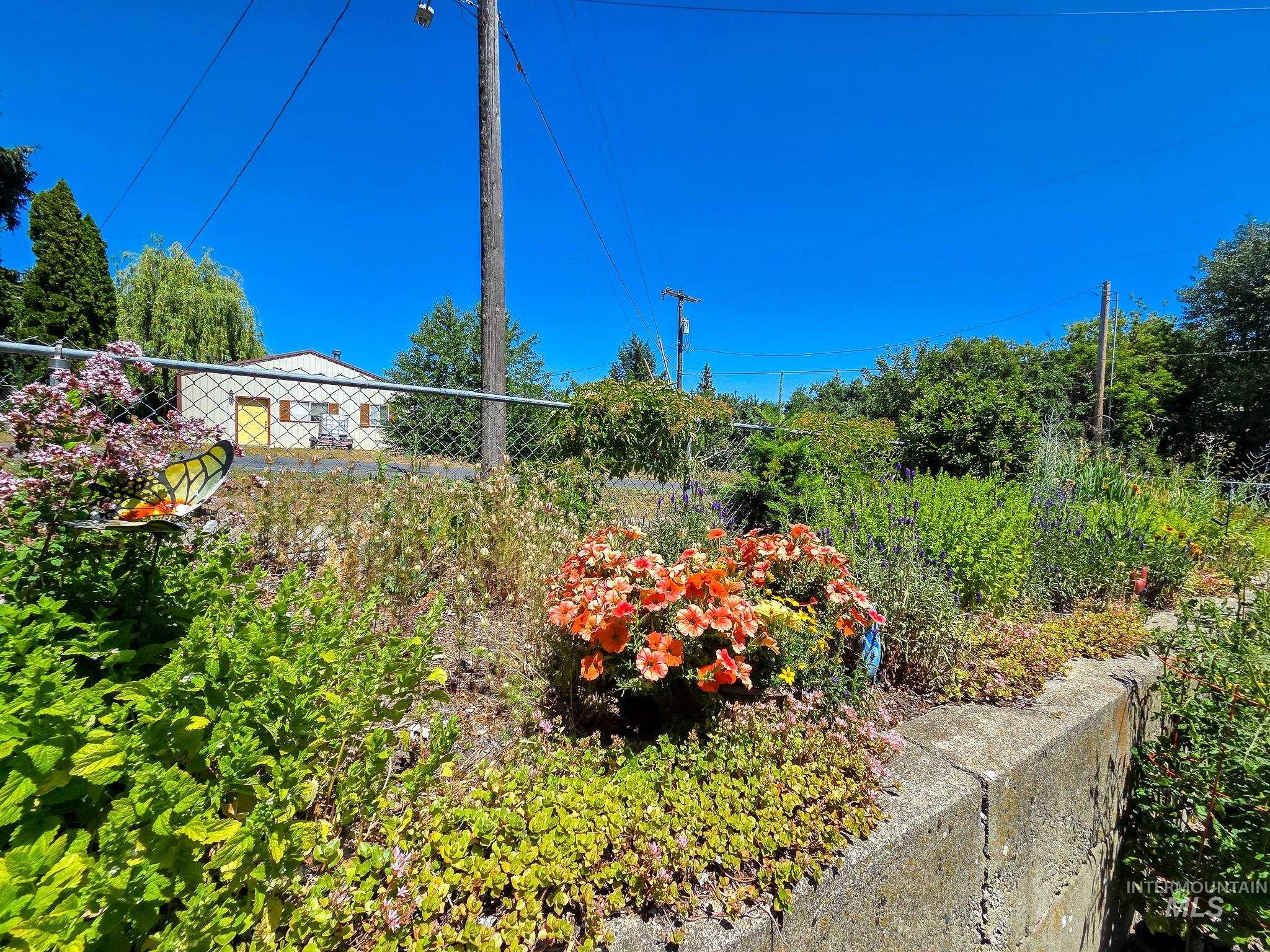 255 N Pine St, Genesee, Idaho 83832, 3 Bedrooms, 1.5 Bathrooms, Residential For Sale, Price $329,900,MLS 98993370