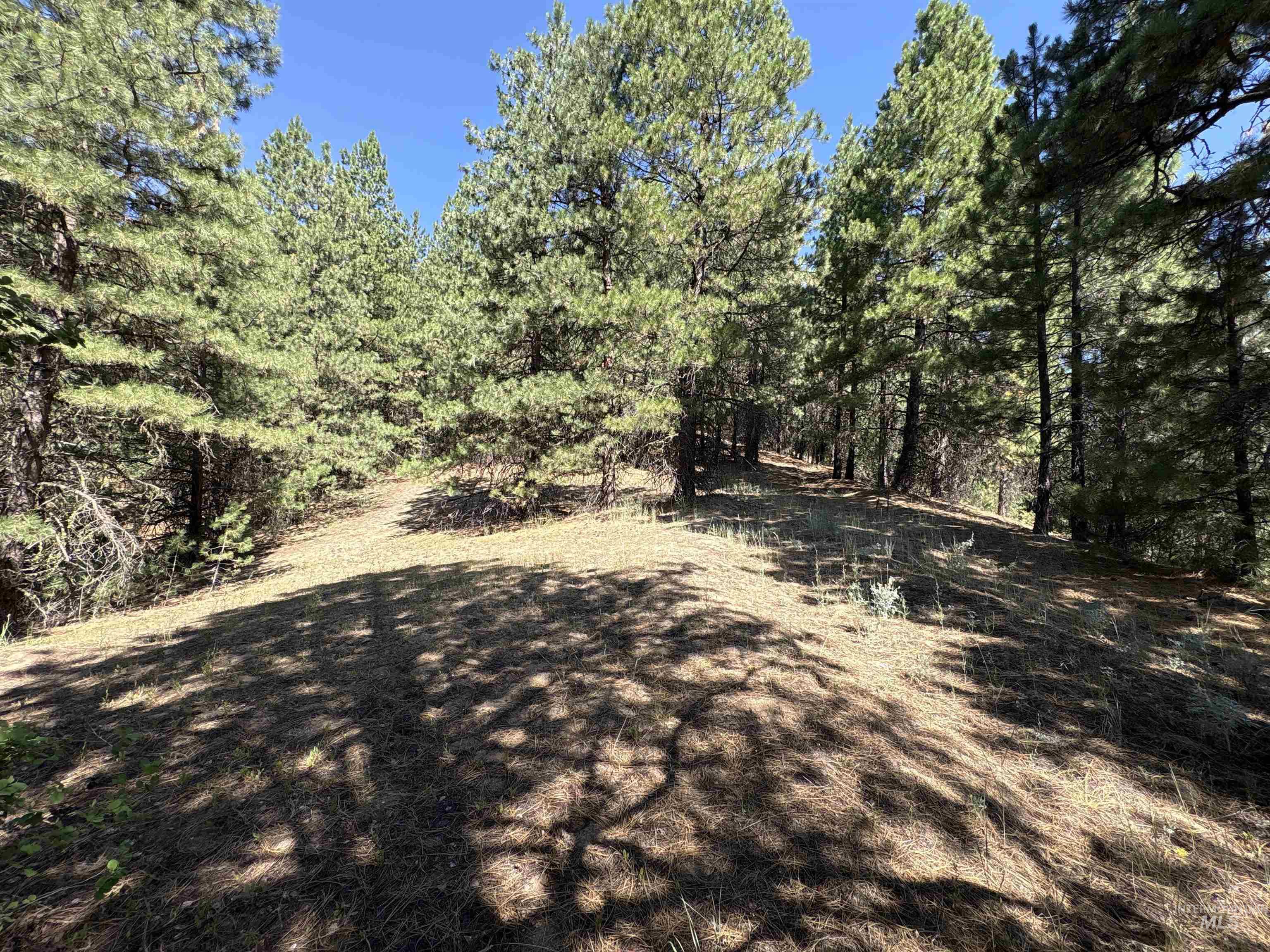 TBD Smith Creek Rd, Prairie, Idaho 83647, Land For Sale, Price $995,000, 98993372