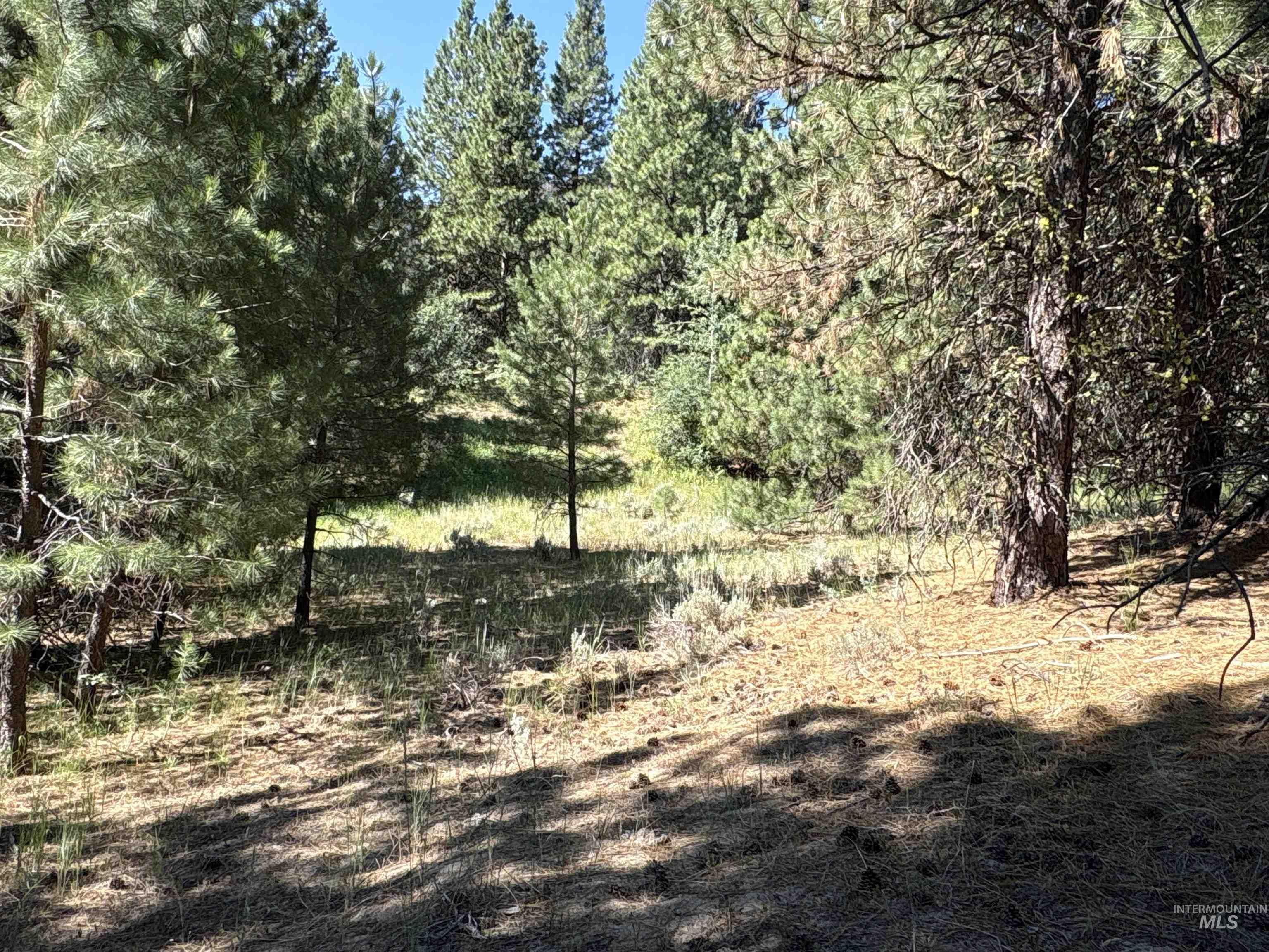 TBD Smith Creek Rd, Prairie, Idaho 83647, Land For Sale, Price $995,000, 98993372