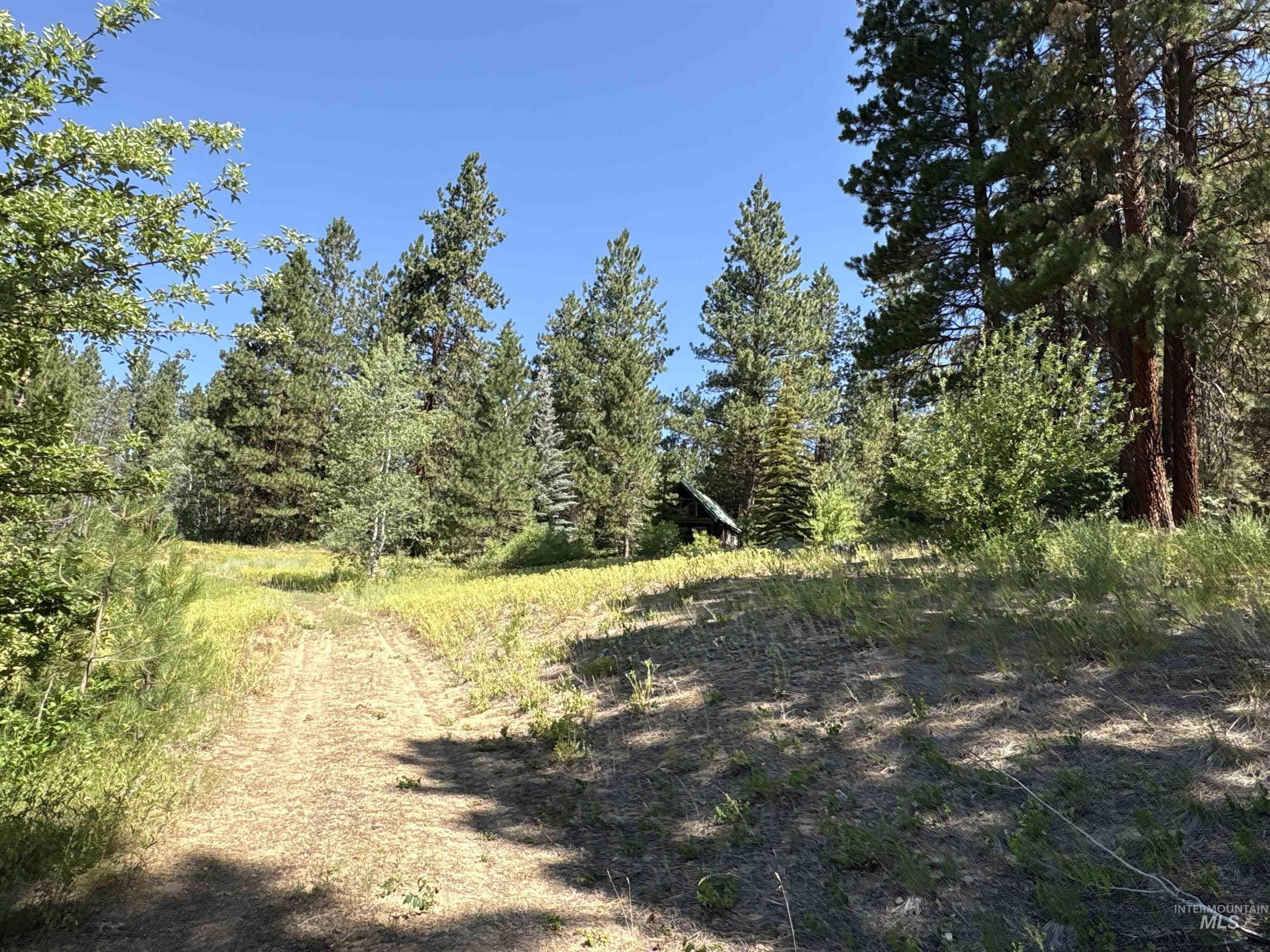 TBD Smith Creek Rd, Prairie, Idaho 83647, Land For Sale, Price $995,000, 98993372