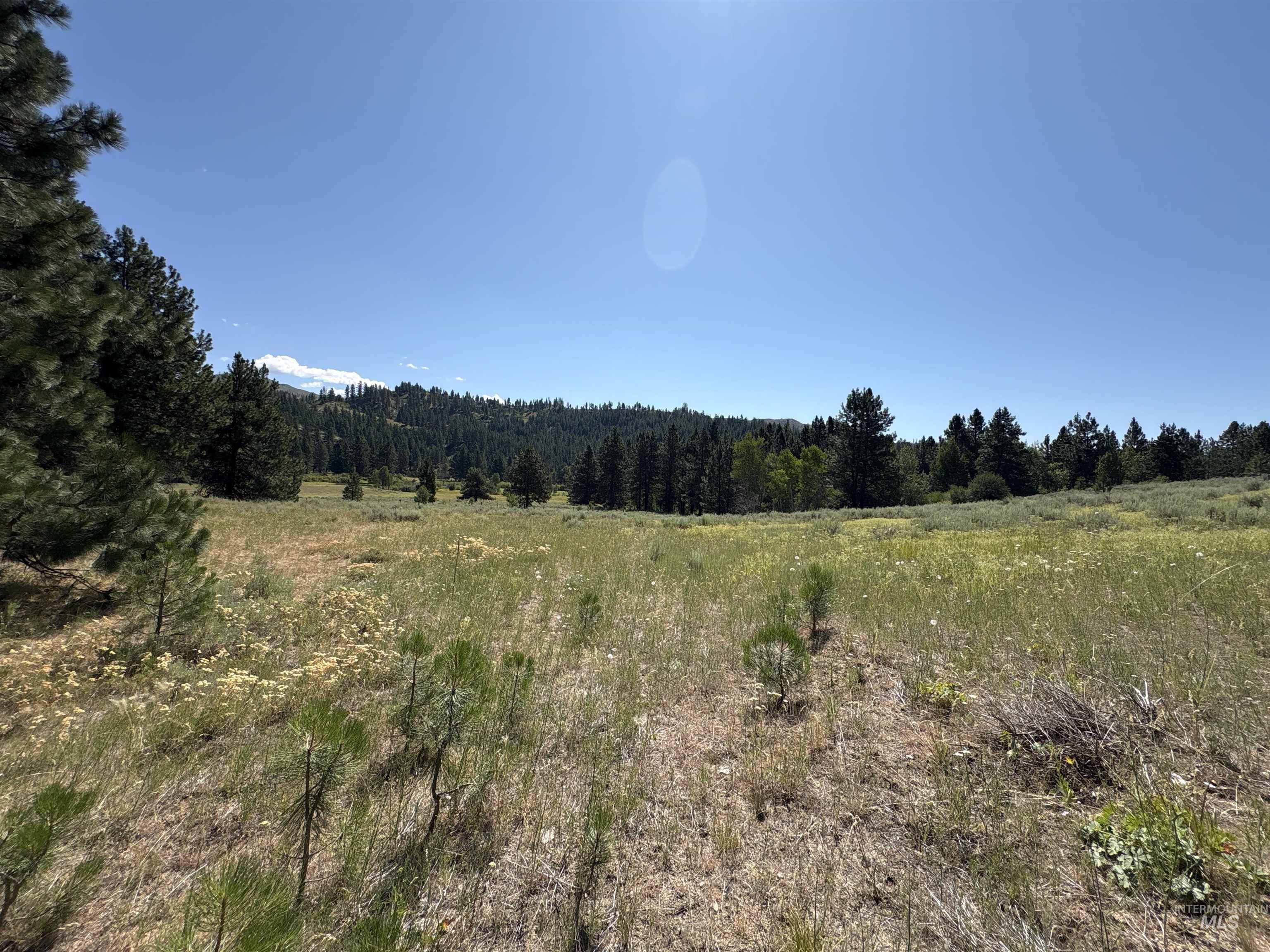 TBD Smith Creek Rd, Prairie, Idaho 83647, Land For Sale, Price $995,000, 98993372
