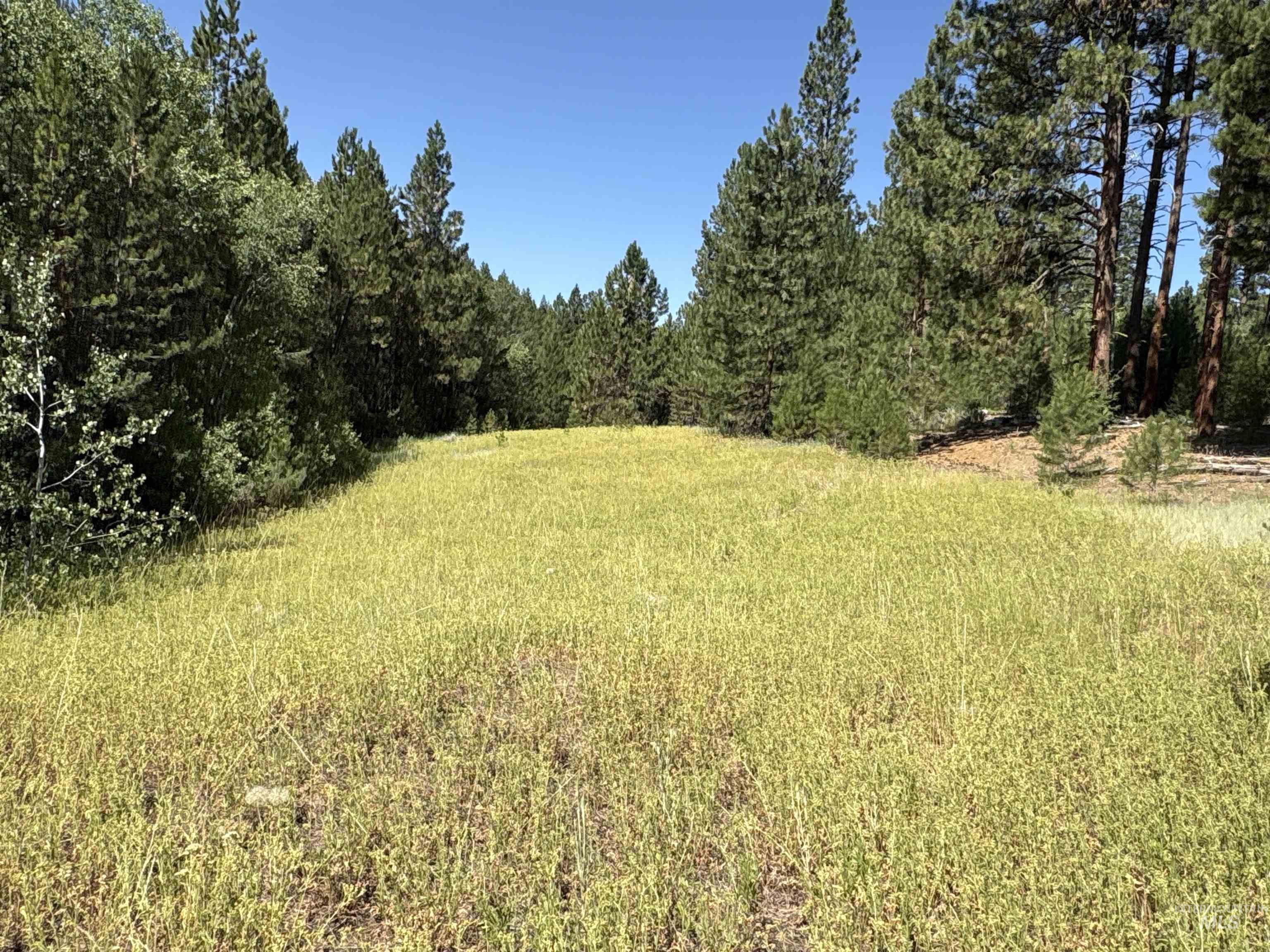 TBD Smith Creek Rd, Prairie, Idaho 83647, Land For Sale, Price $995,000, 98993372