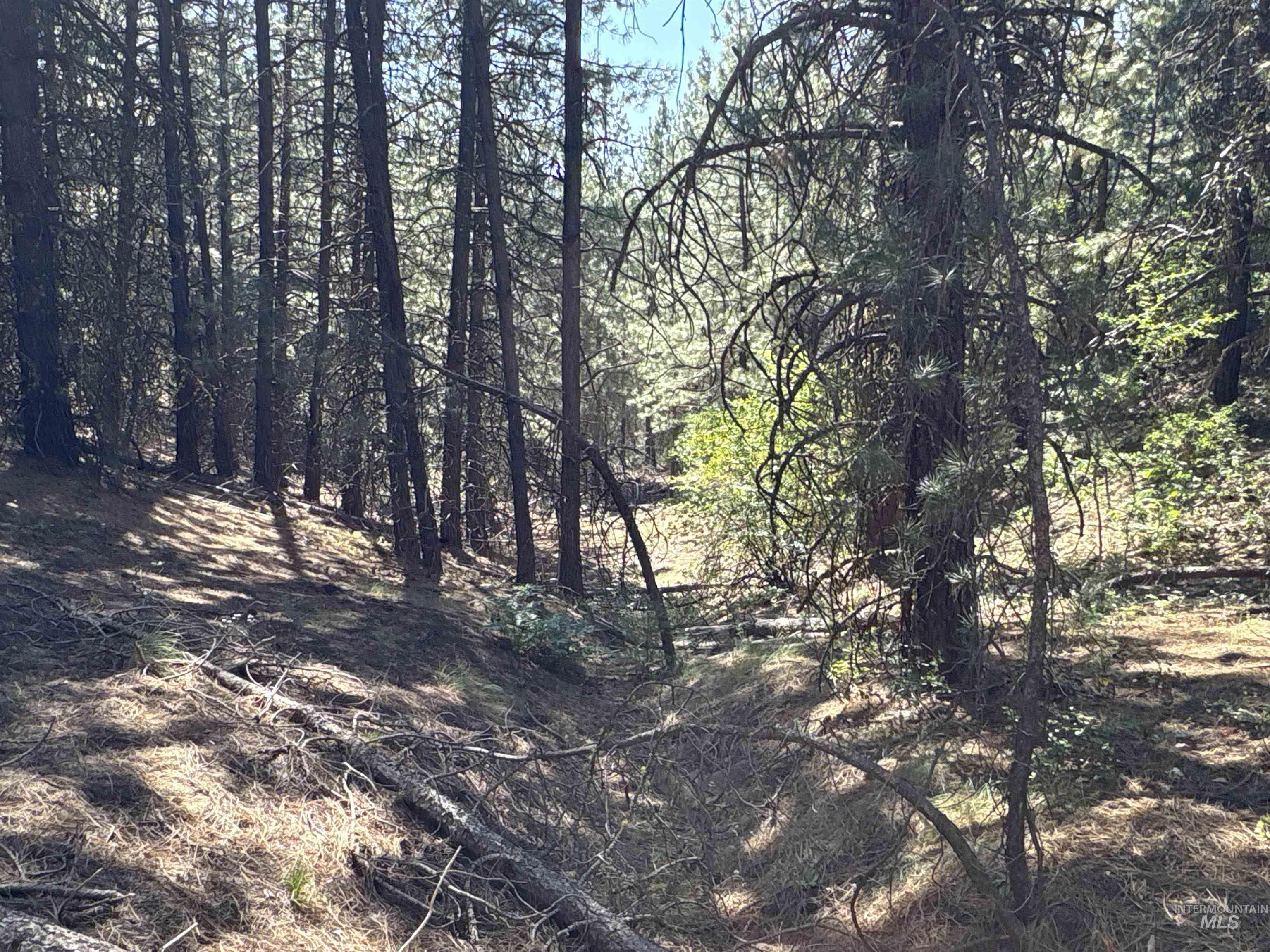 TBD Smith Creek Rd, Prairie, Idaho 83647, Land For Sale, Price $995,000, 98993372