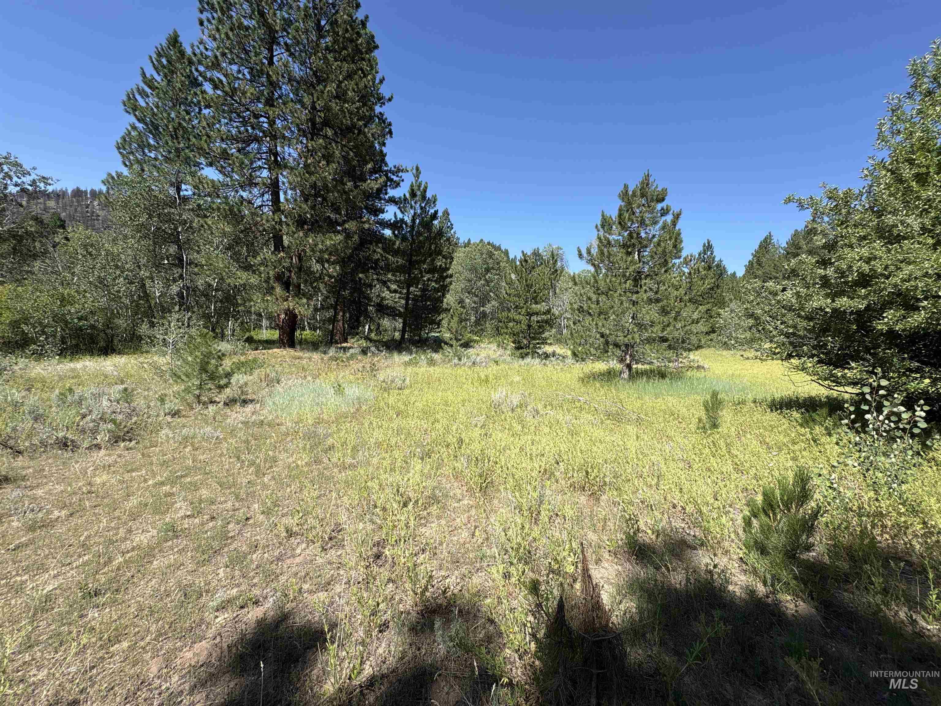 TBD Smith Creek Rd, Prairie, Idaho 83647, Land For Sale, Price $995,000, 98993372