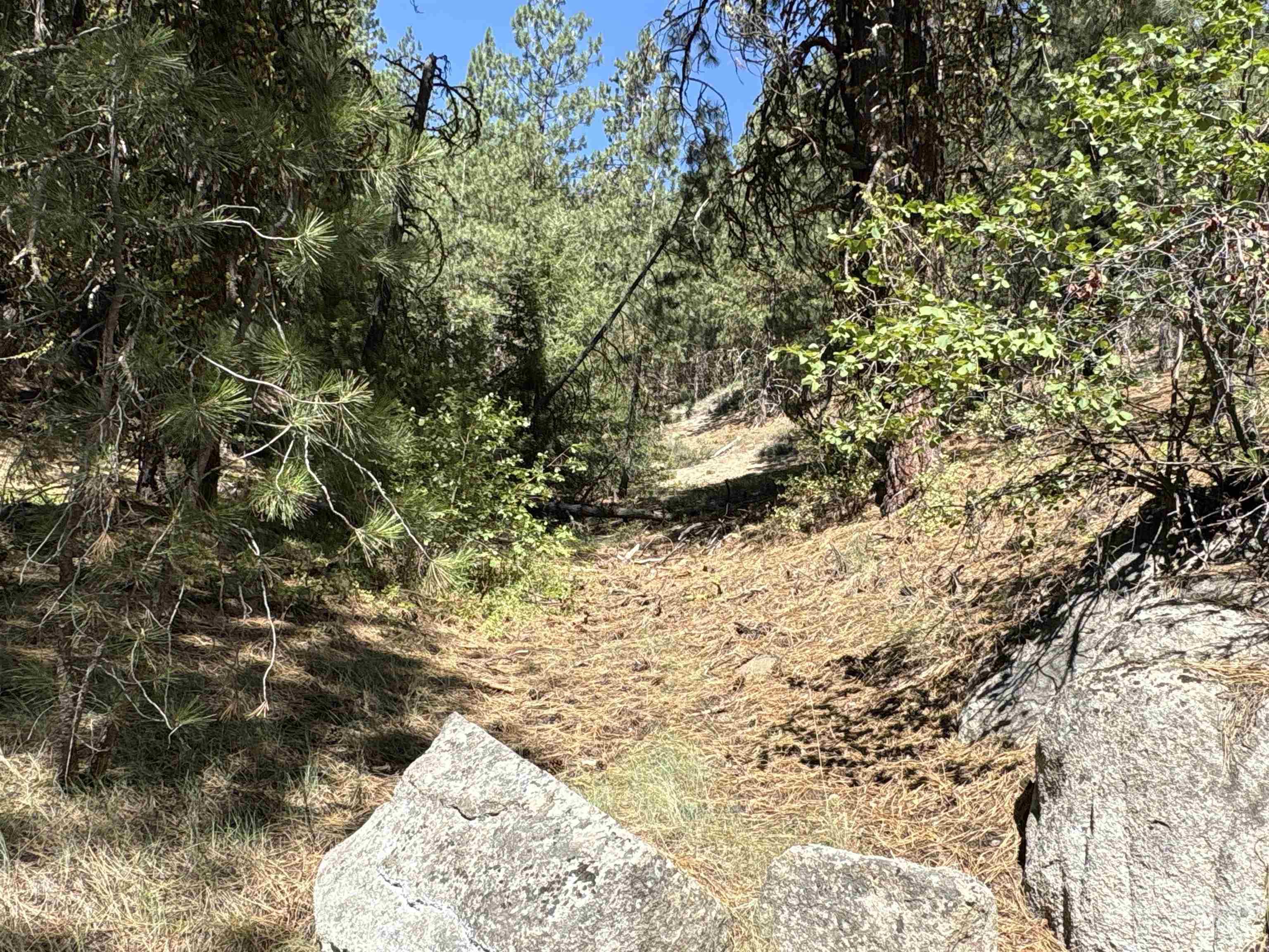 TBD Smith Creek Rd, Prairie, Idaho 83647, Land For Sale, Price $995,000, 98993372