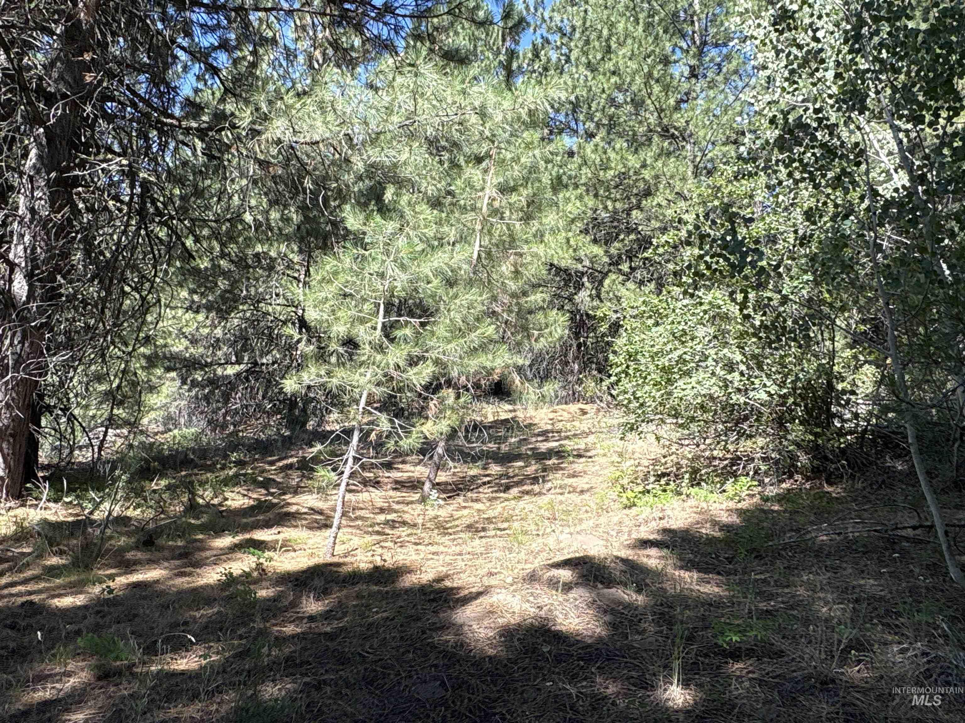 TBD Smith Creek Rd, Prairie, Idaho 83647, Land For Sale, Price $995,000, 98993372