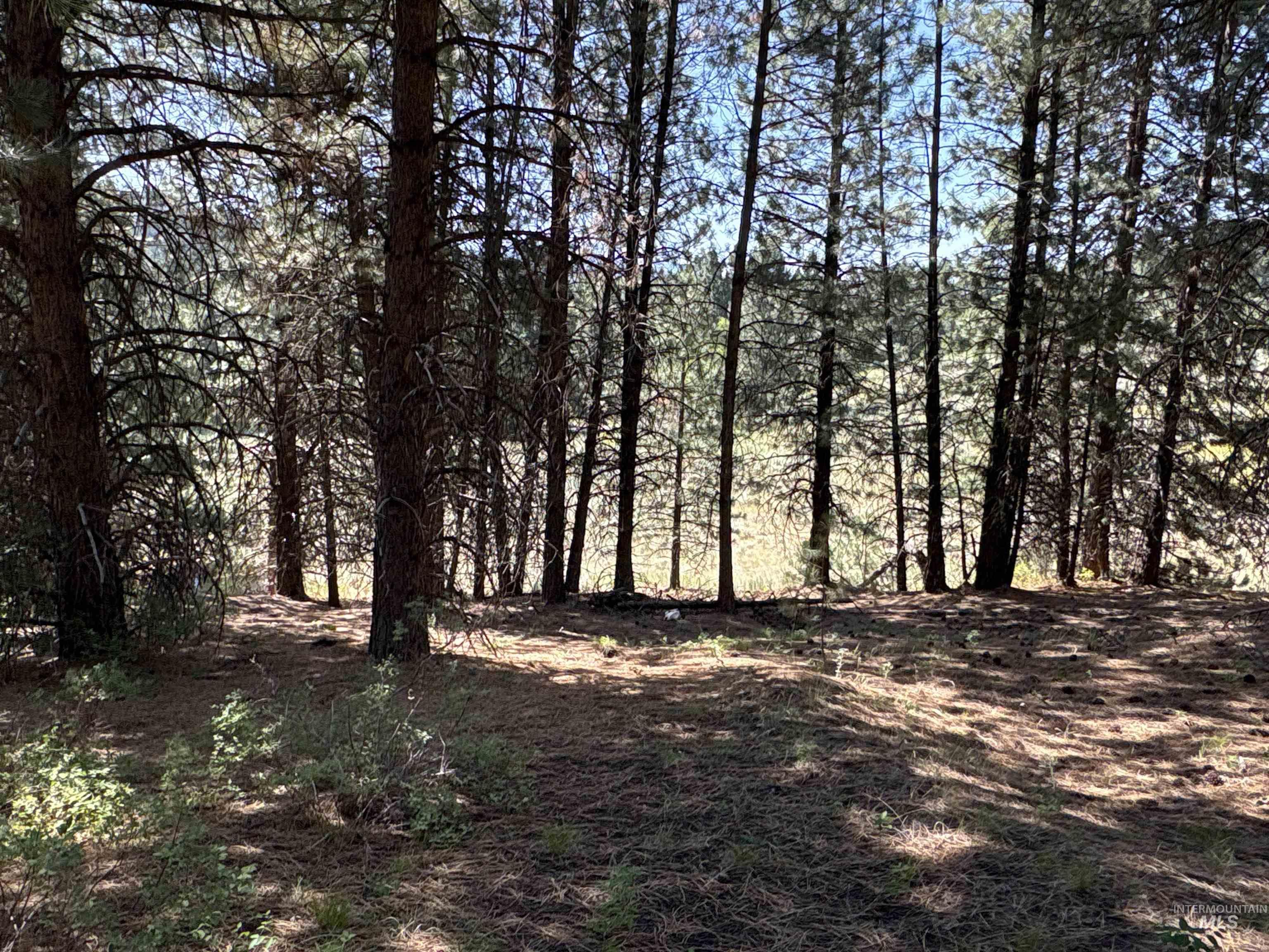 TBD Smith Creek Rd, Prairie, Idaho 83647, Land For Sale, Price $995,000, 98993372