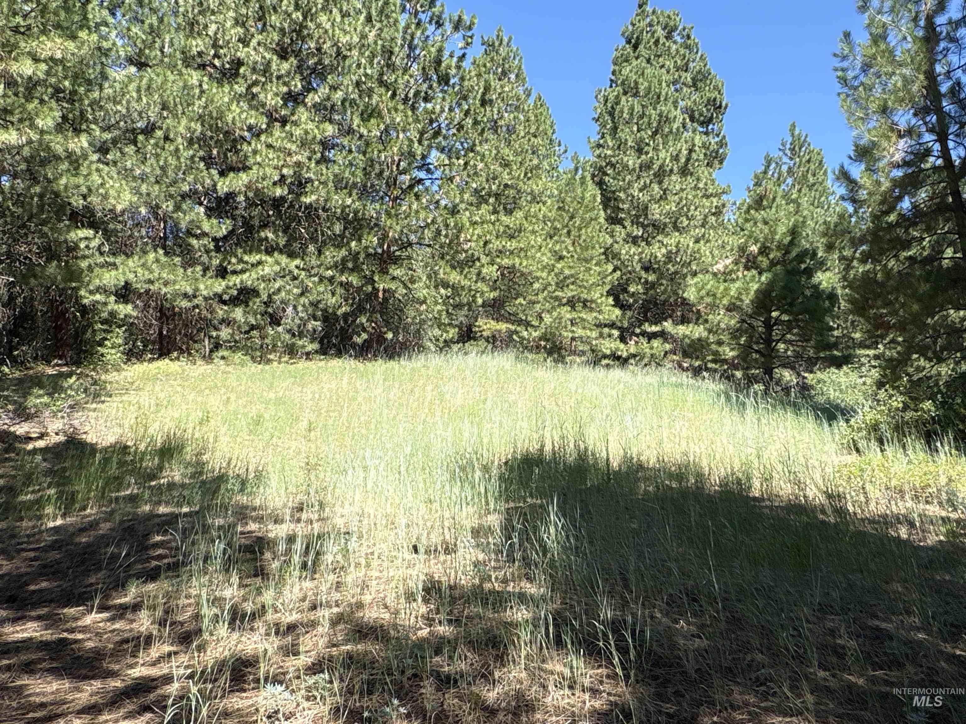 TBD Smith Creek Rd, Prairie, Idaho 83647, Land For Sale, Price $995,000, 98993372