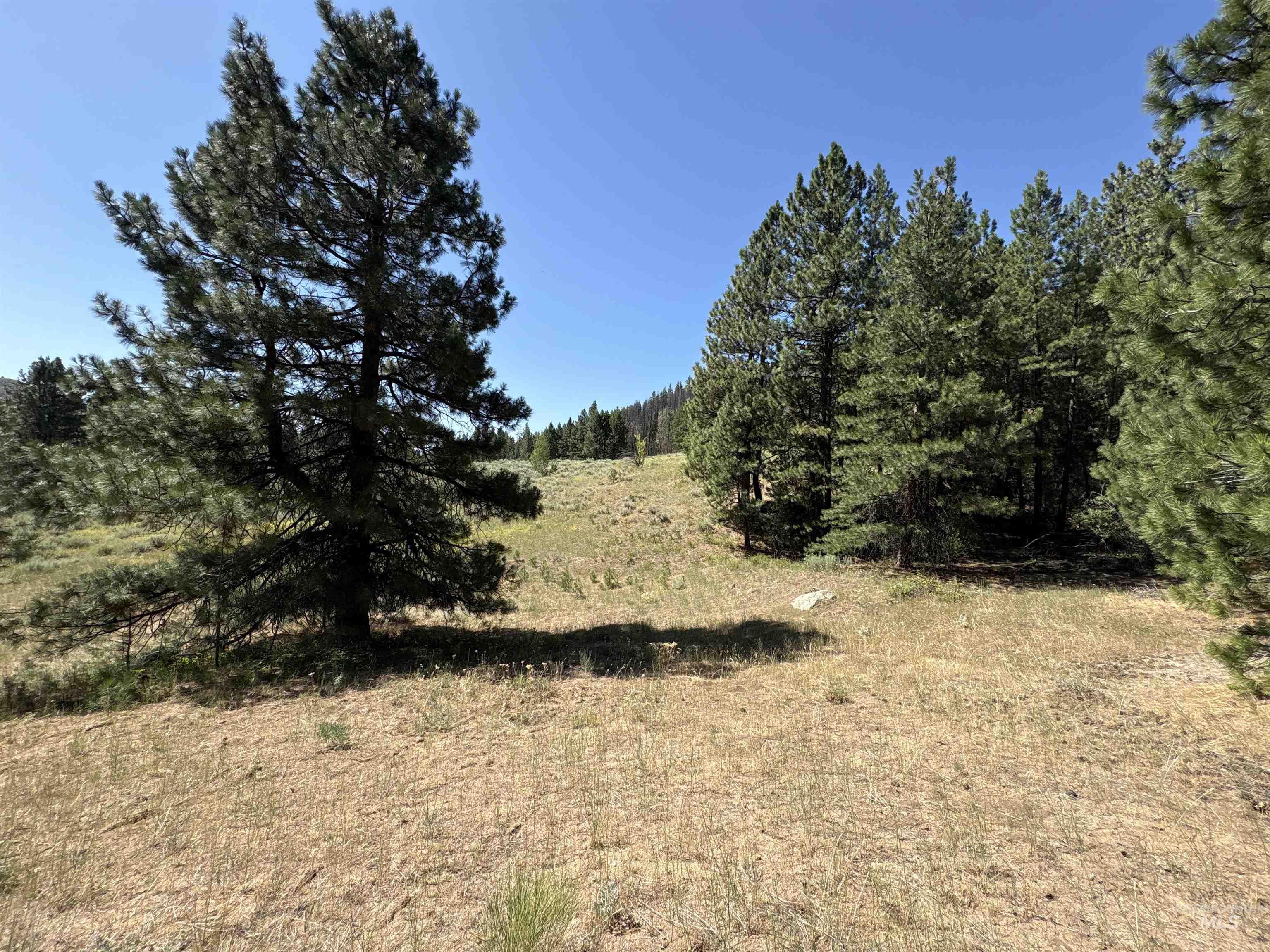 TBD Smith Creek Rd, Prairie, Idaho 83647, Land For Sale, Price $995,000, 98993372
