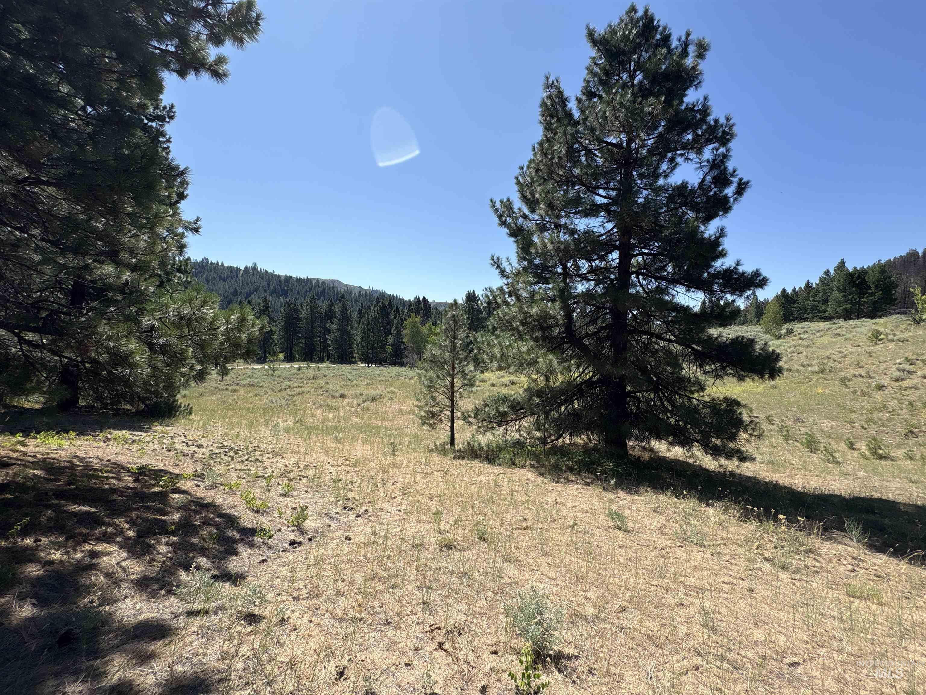TBD Smith Creek Rd, Prairie, Idaho 83647, Land For Sale, Price $995,000, 98993372