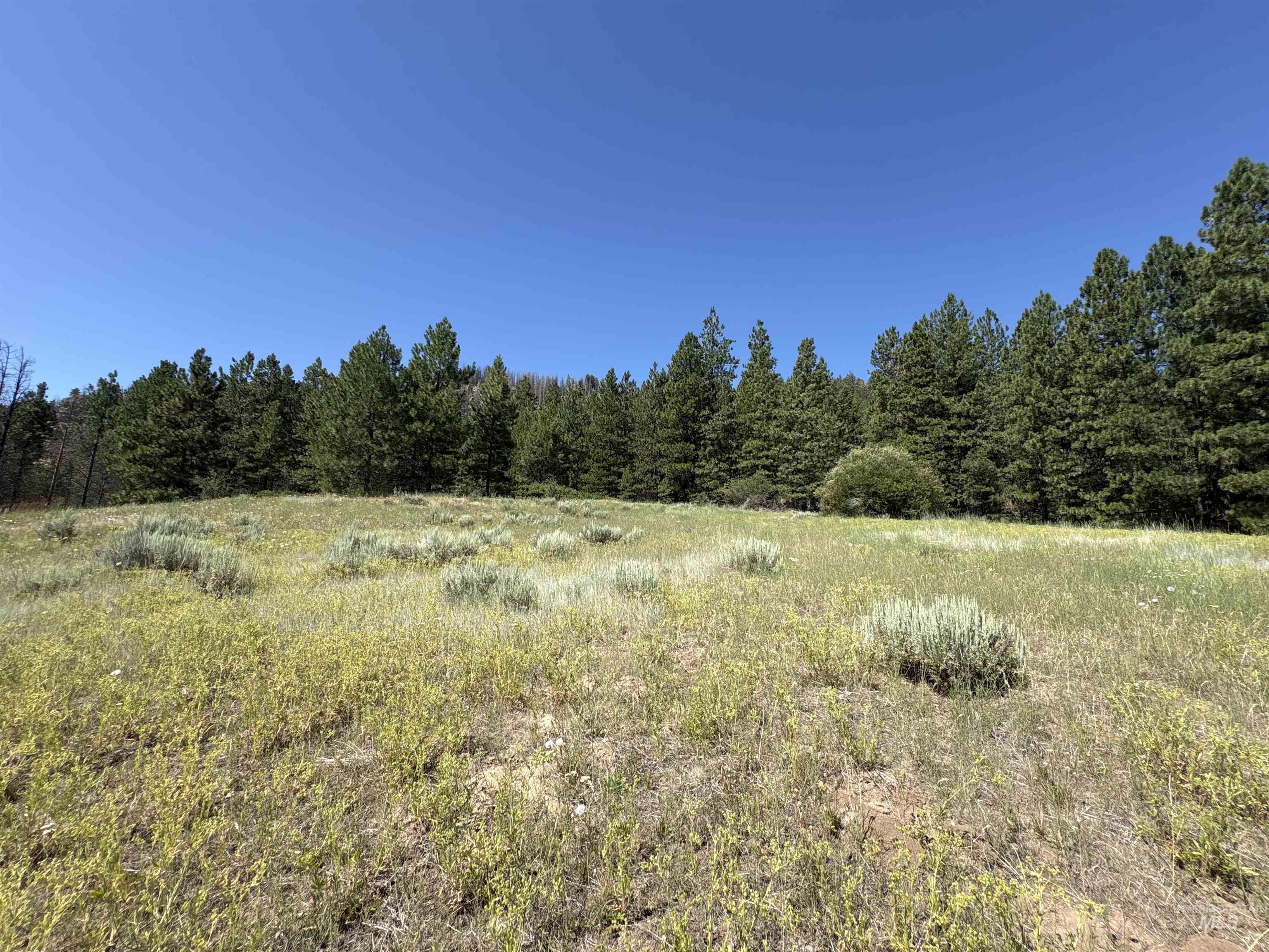 TBD Smith Creek Rd, Prairie, Idaho 83647, Land For Sale, Price $995,000, 98993372