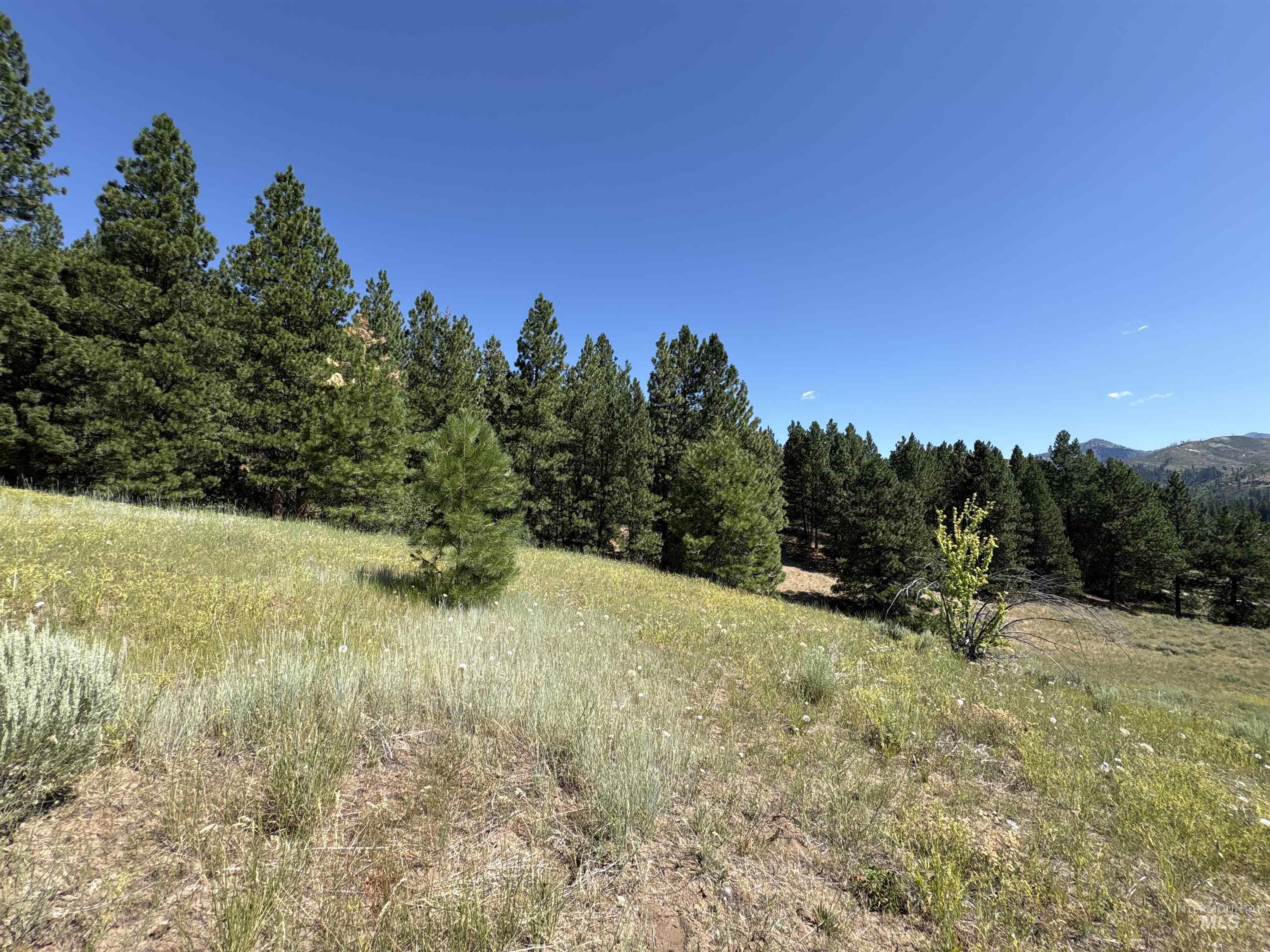 TBD Smith Creek Rd, Prairie, Idaho 83647, Land For Sale, Price $995,000, 98993372