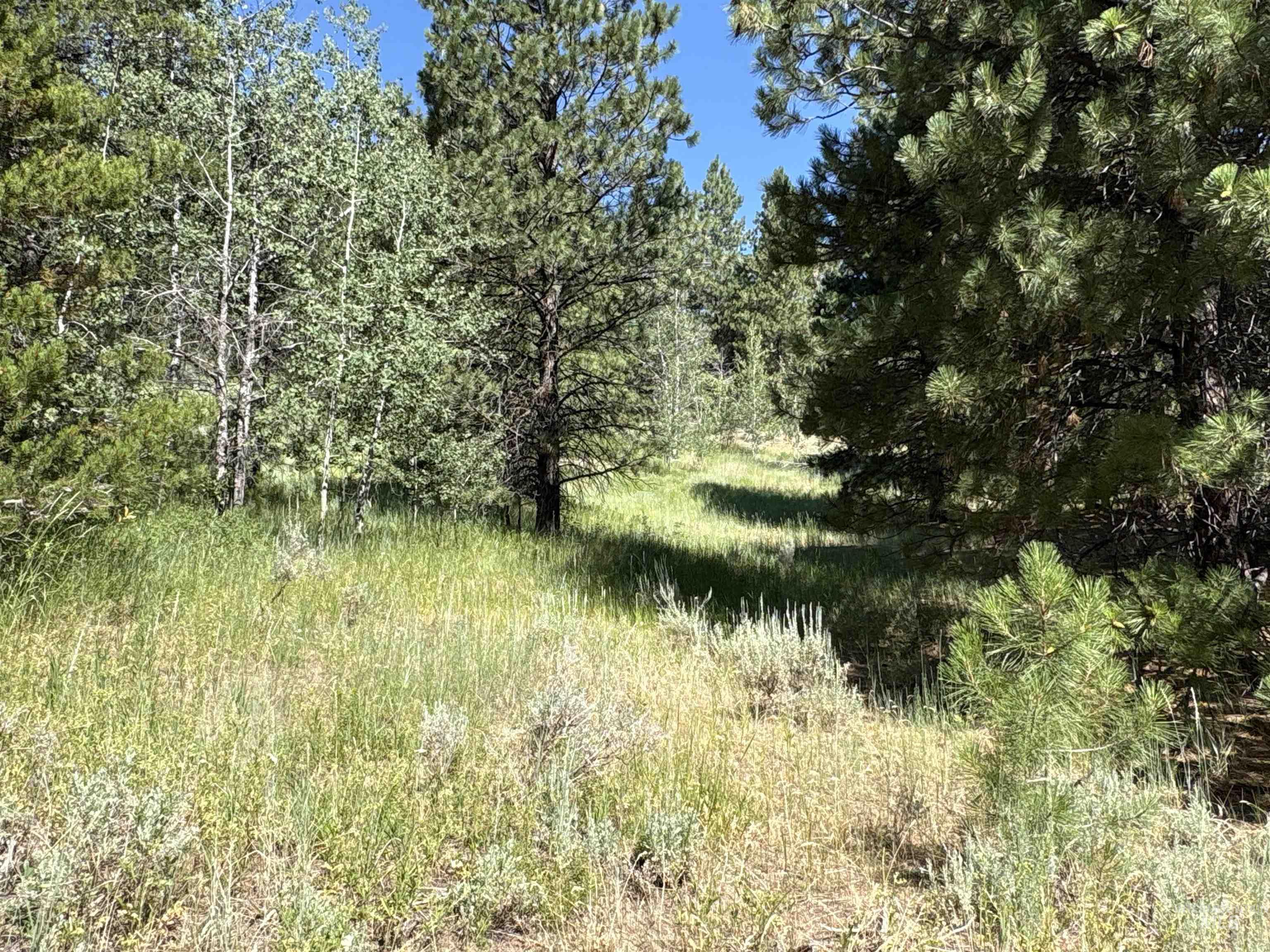 TBD Smith Creek Rd, Prairie, Idaho 83647, Land For Sale, Price $995,000, 98993372