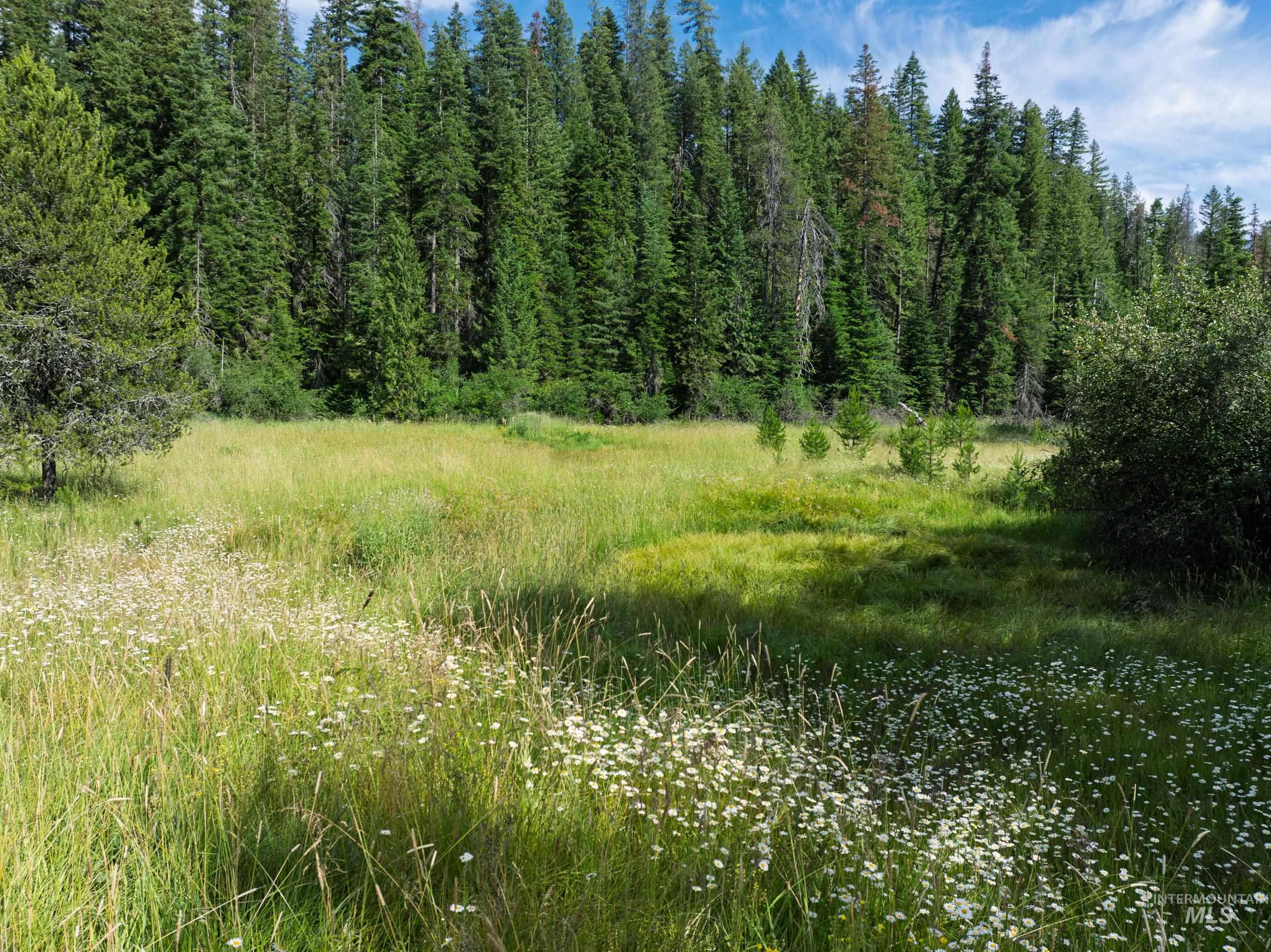NKA 96 AC Highway 6, Harvard, Idaho 83843, Land For Sale, Price $949,000,MLS 98993373