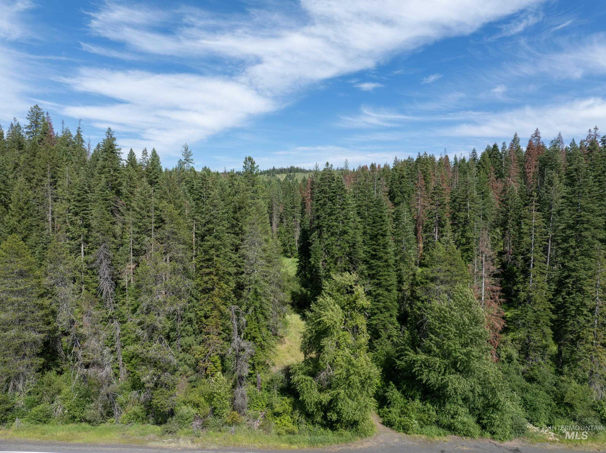 NKA 96 AC Highway 6, Harvard, Idaho 83843, Land For Sale, Price $949,000,MLS 98993373