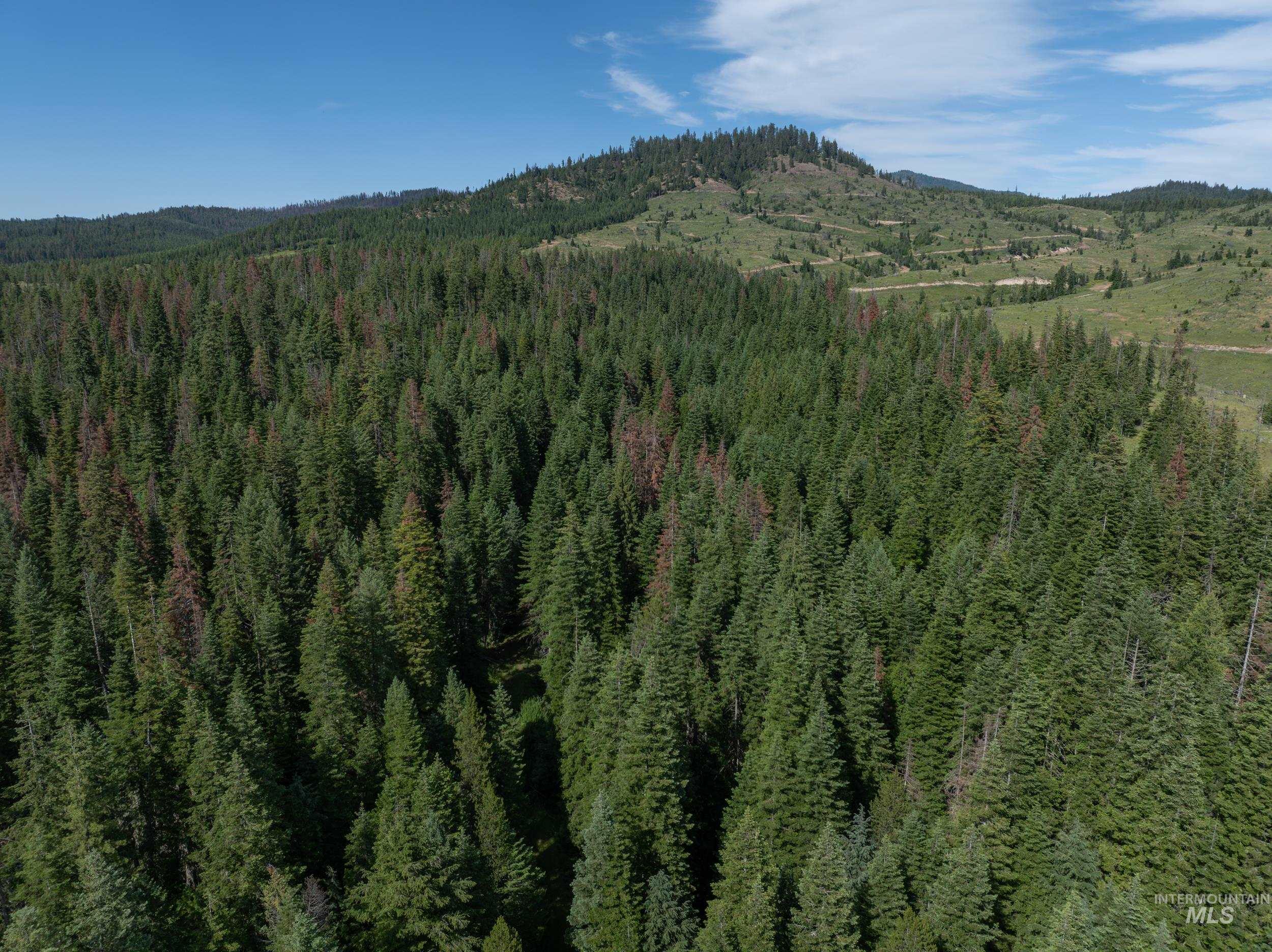 NKA 96 AC Highway 6, Harvard, Idaho 83843, Land For Sale, Price $949,000, 98993373
