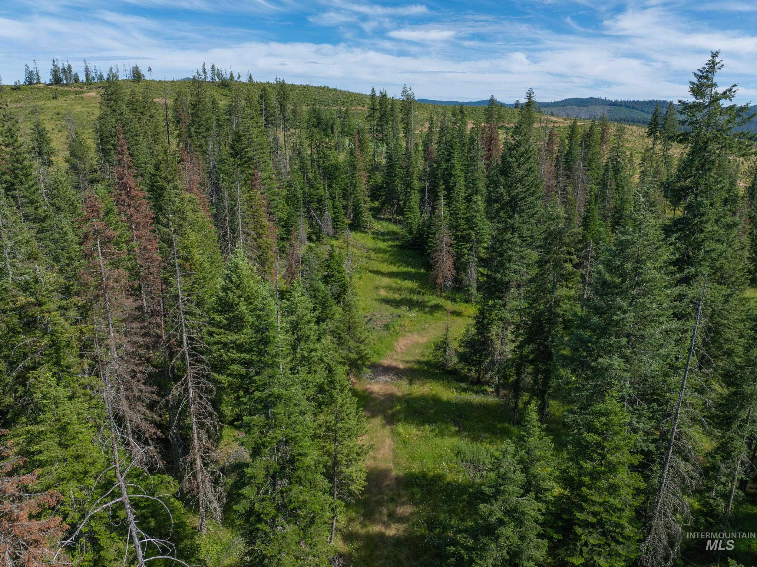 NKA 96 AC Highway 6, Harvard, Idaho 83843, Land For Sale, Price $949,000,MLS 98993373