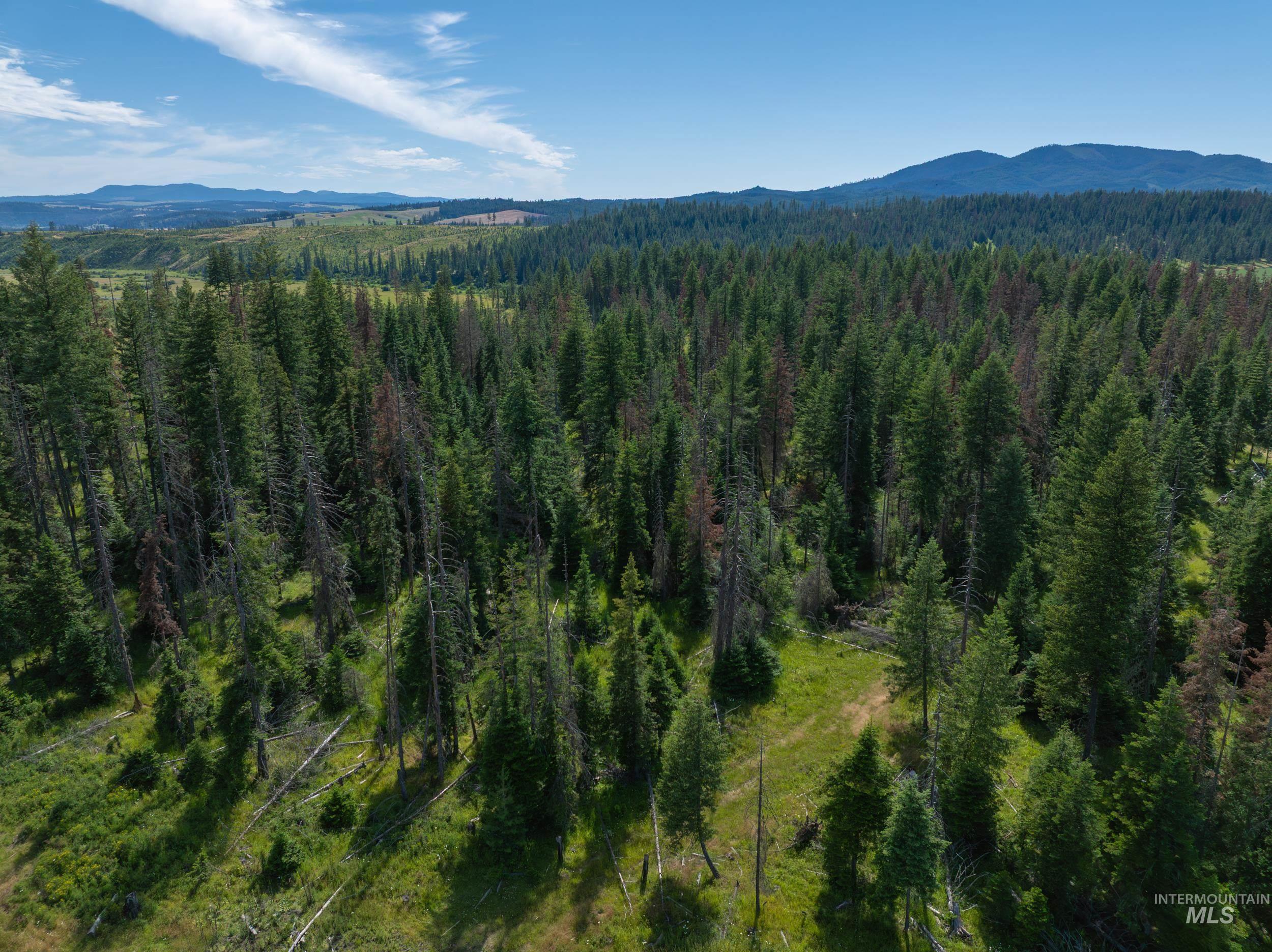 NKA 96 AC Highway 6, Harvard, Idaho 83843, Land For Sale, Price $949,000, 98993373