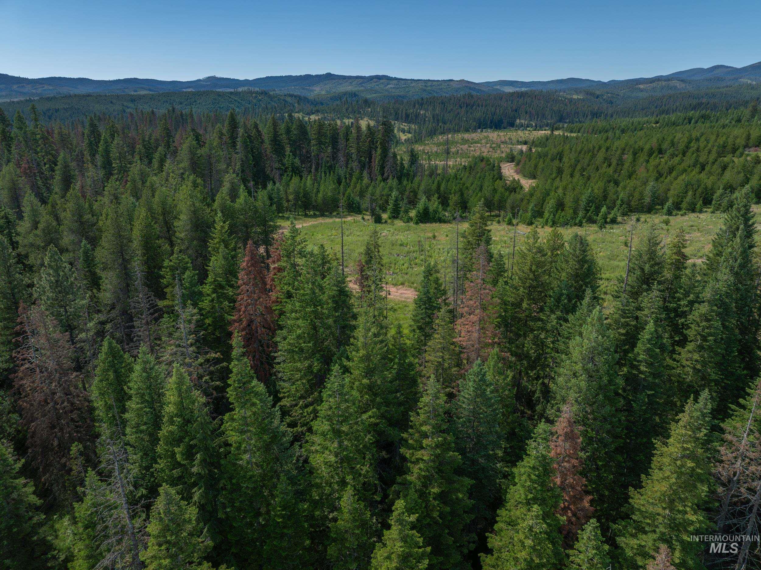 NKA 96 AC Highway 6, Harvard, Idaho 83843, Land For Sale, Price $949,000,MLS 98993373