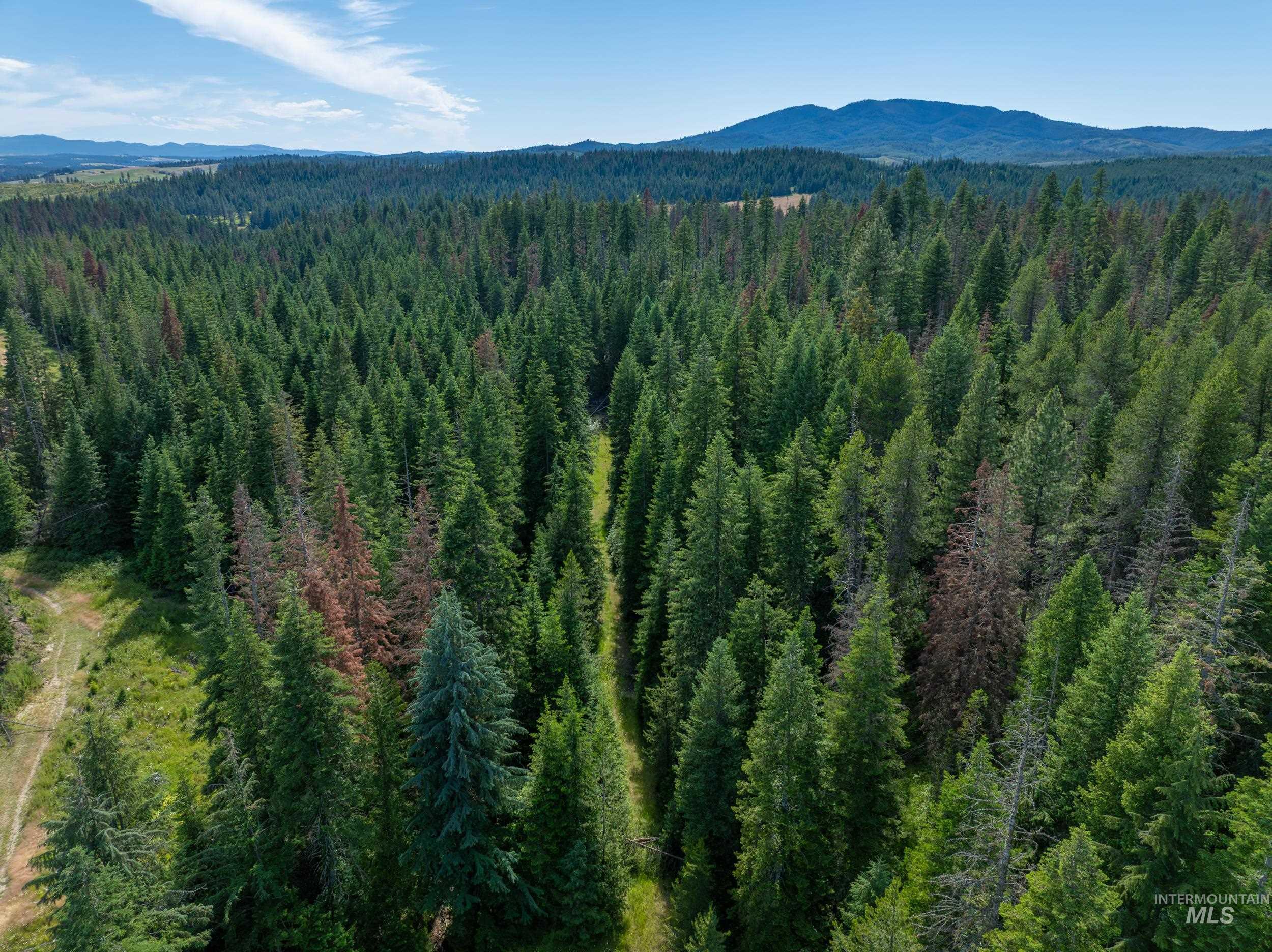 NKA 96 AC Highway 6, Harvard, Idaho 83843, Land For Sale, Price $949,000,MLS 98993373