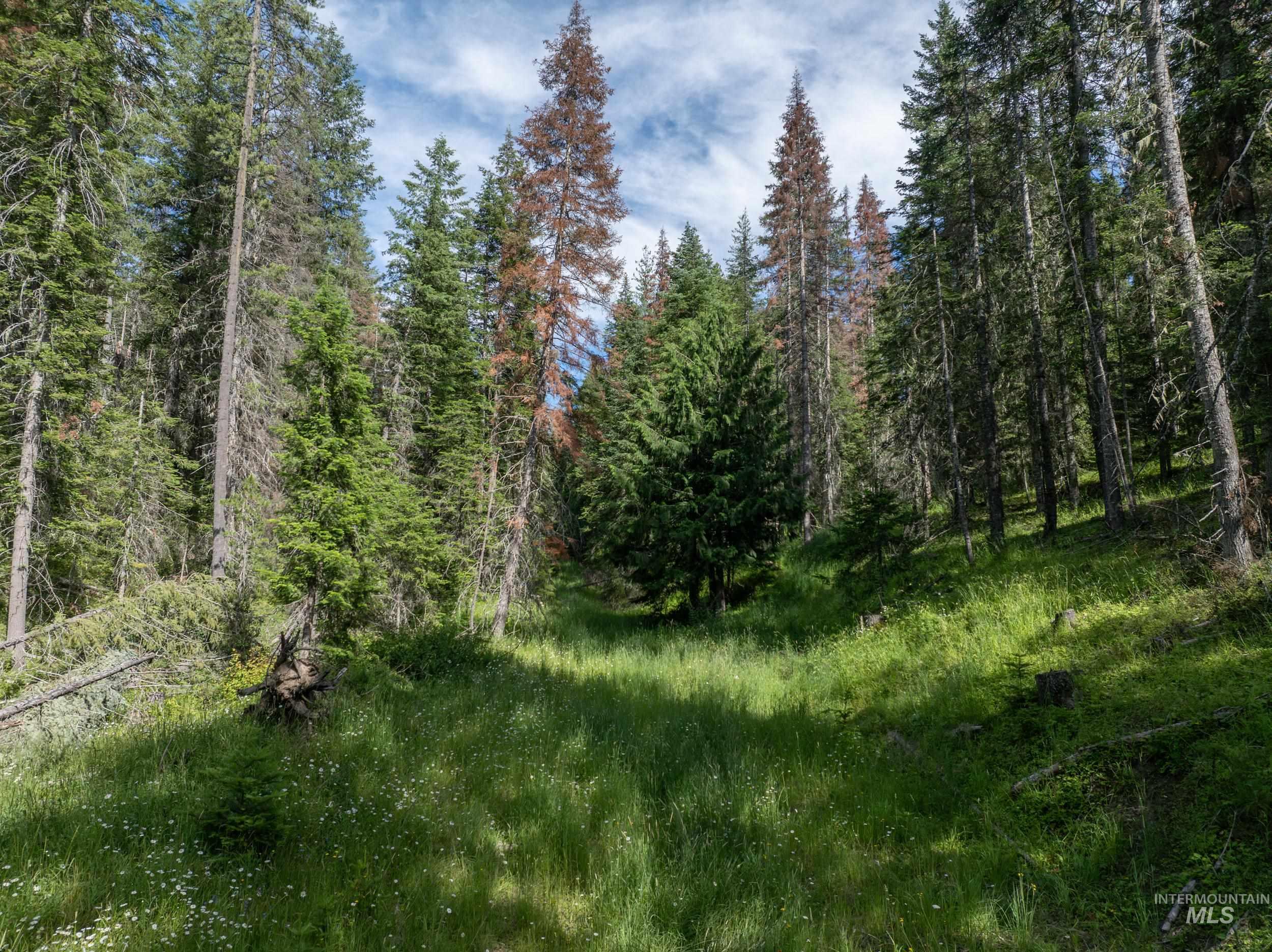 NKA 96 AC Highway 6, Harvard, Idaho 83843, Land For Sale, Price $949,000,MLS 98993373
