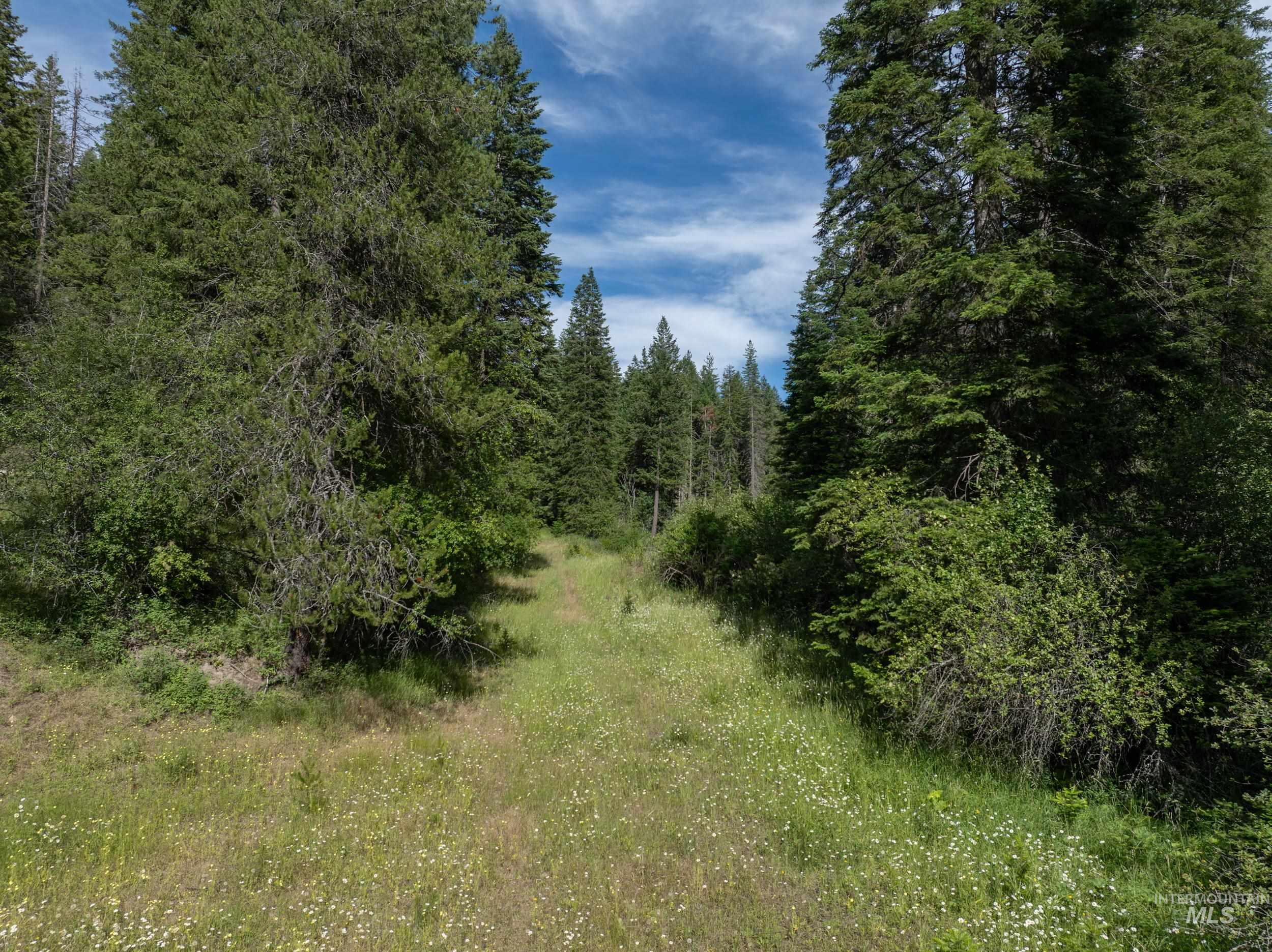 NKA 96 AC Highway 6, Harvard, Idaho 83843, Land For Sale, Price $949,000,MLS 98993373