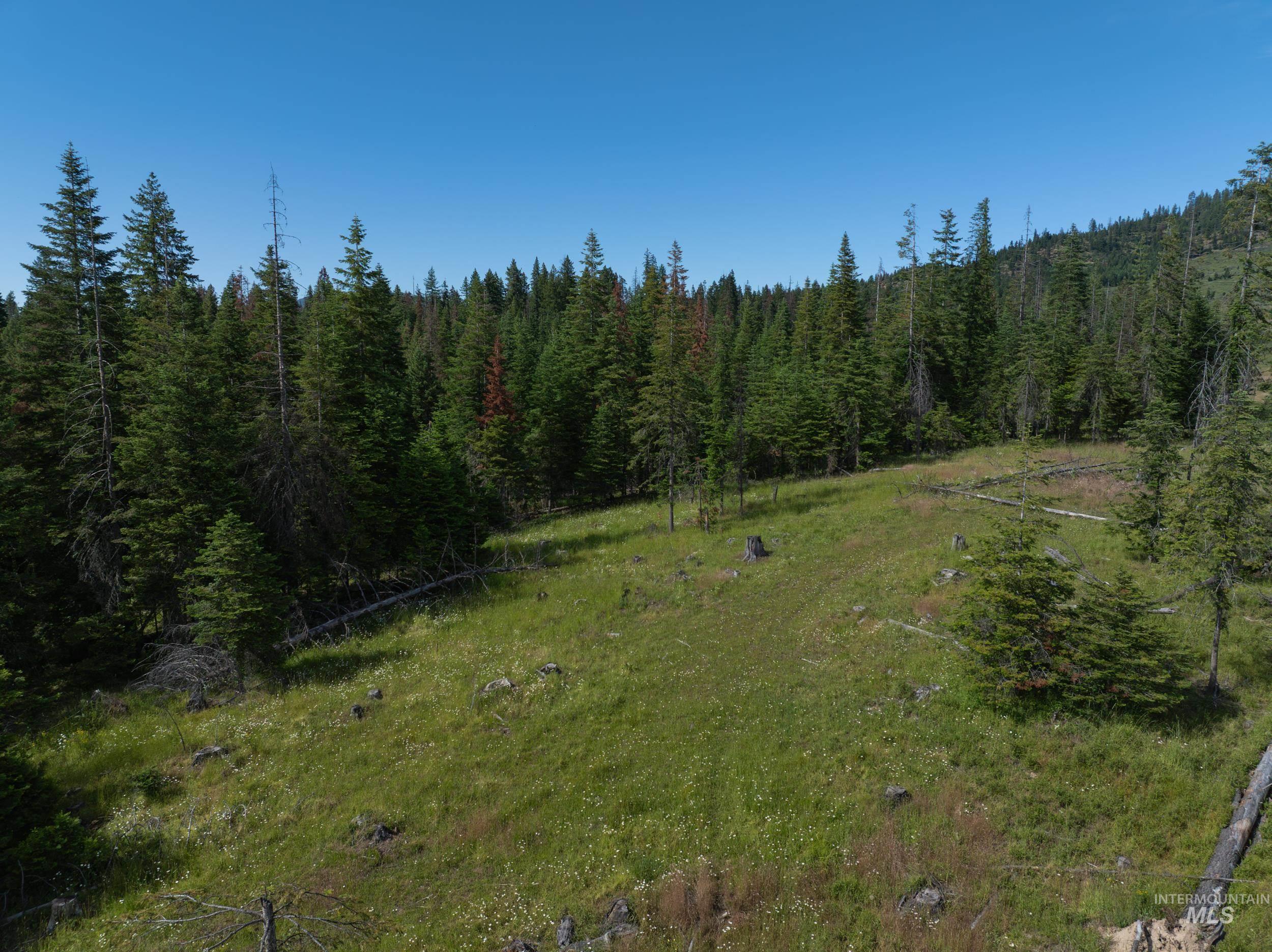 NKA 96 AC Highway 6, Harvard, Idaho 83843, Land For Sale, Price $949,000,MLS 98993373