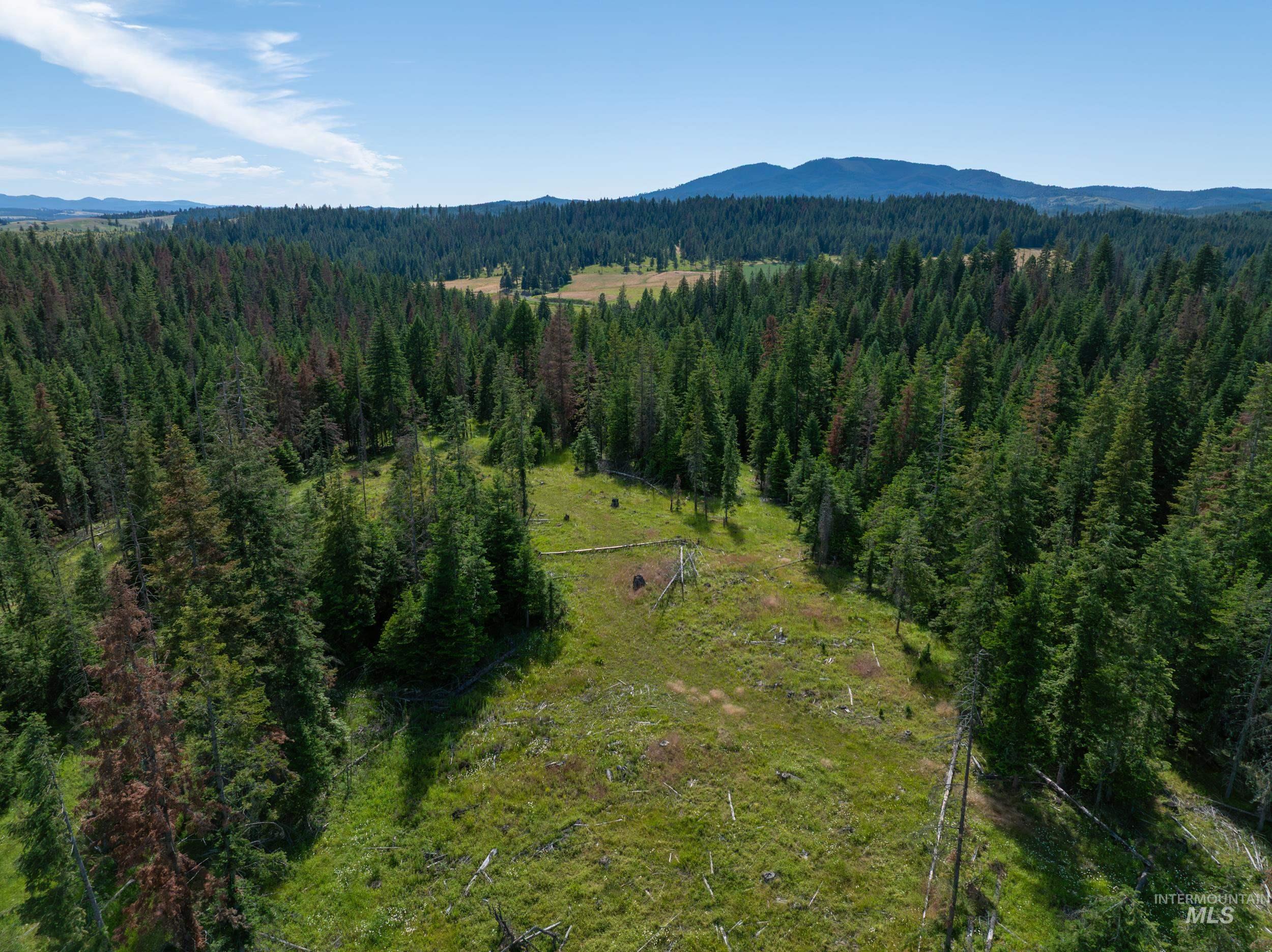 NKA 96 AC Highway 6, Harvard, Idaho 83843, Land For Sale, Price $949,000, 98993373