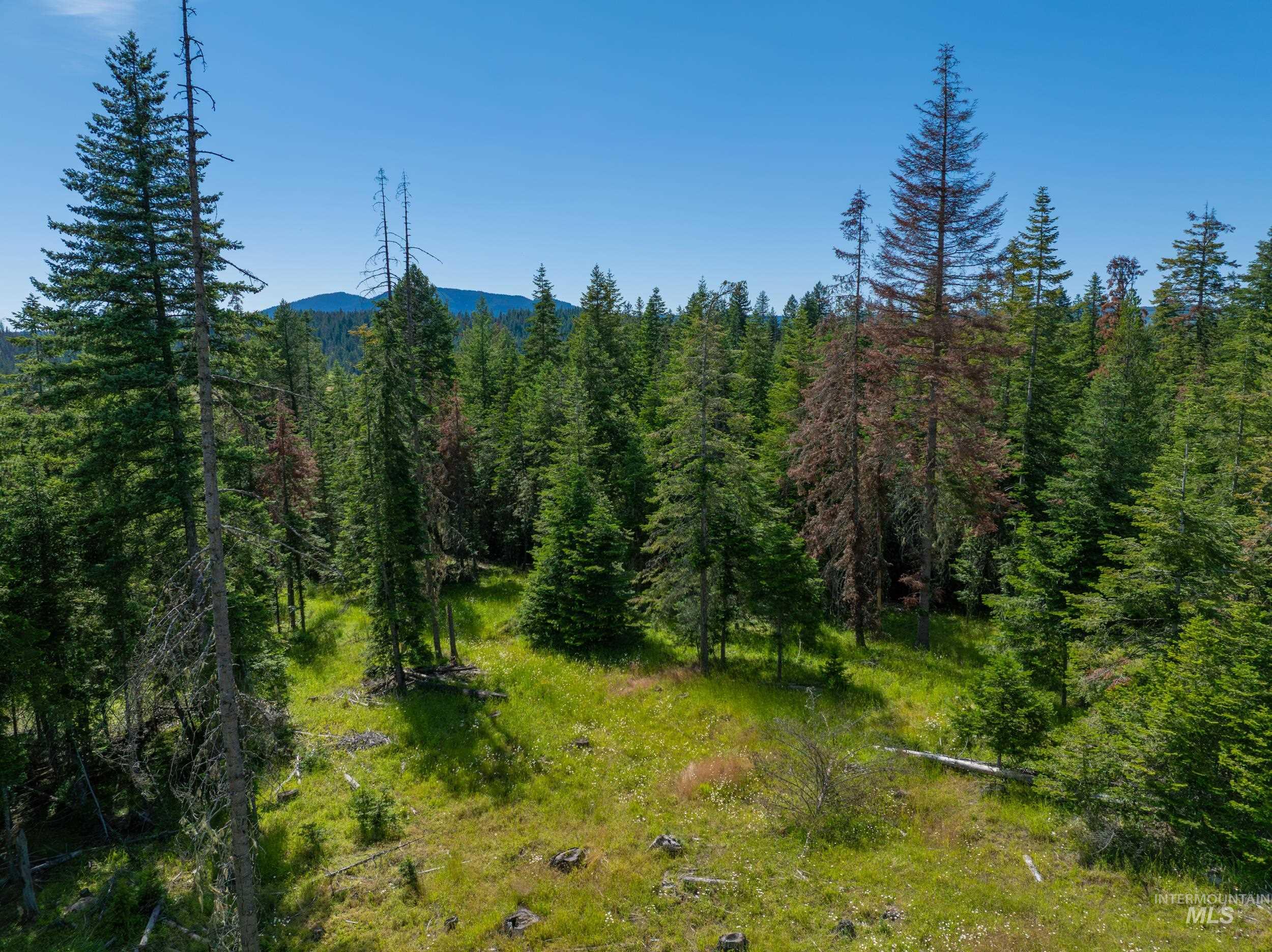 NKA 96 AC Highway 6, Harvard, Idaho 83843, Land For Sale, Price $949,000, 98993373