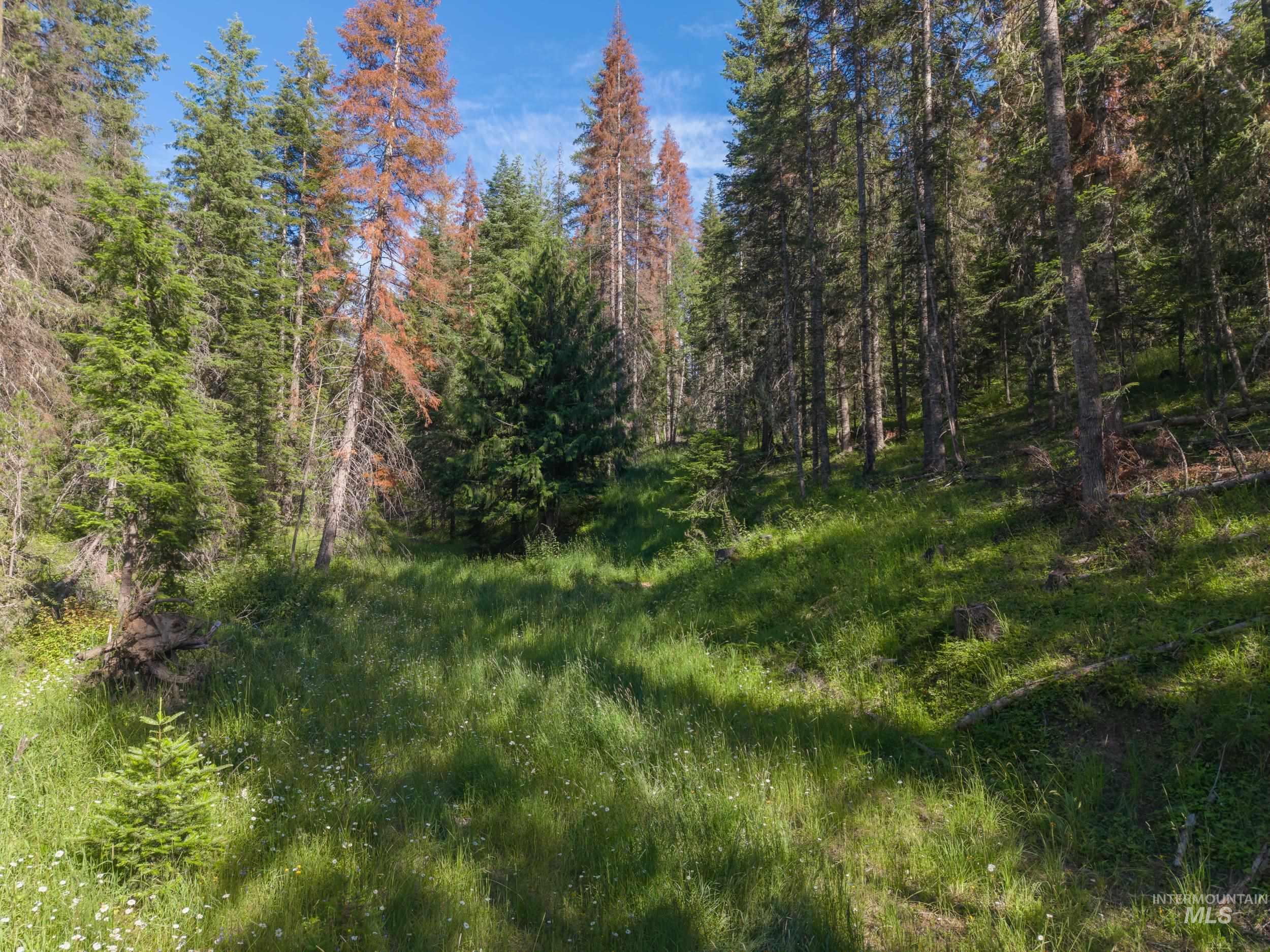 NKA 96 AC Highway 6, Harvard, Idaho 83843, Land For Sale, Price $949,000, 98993373
