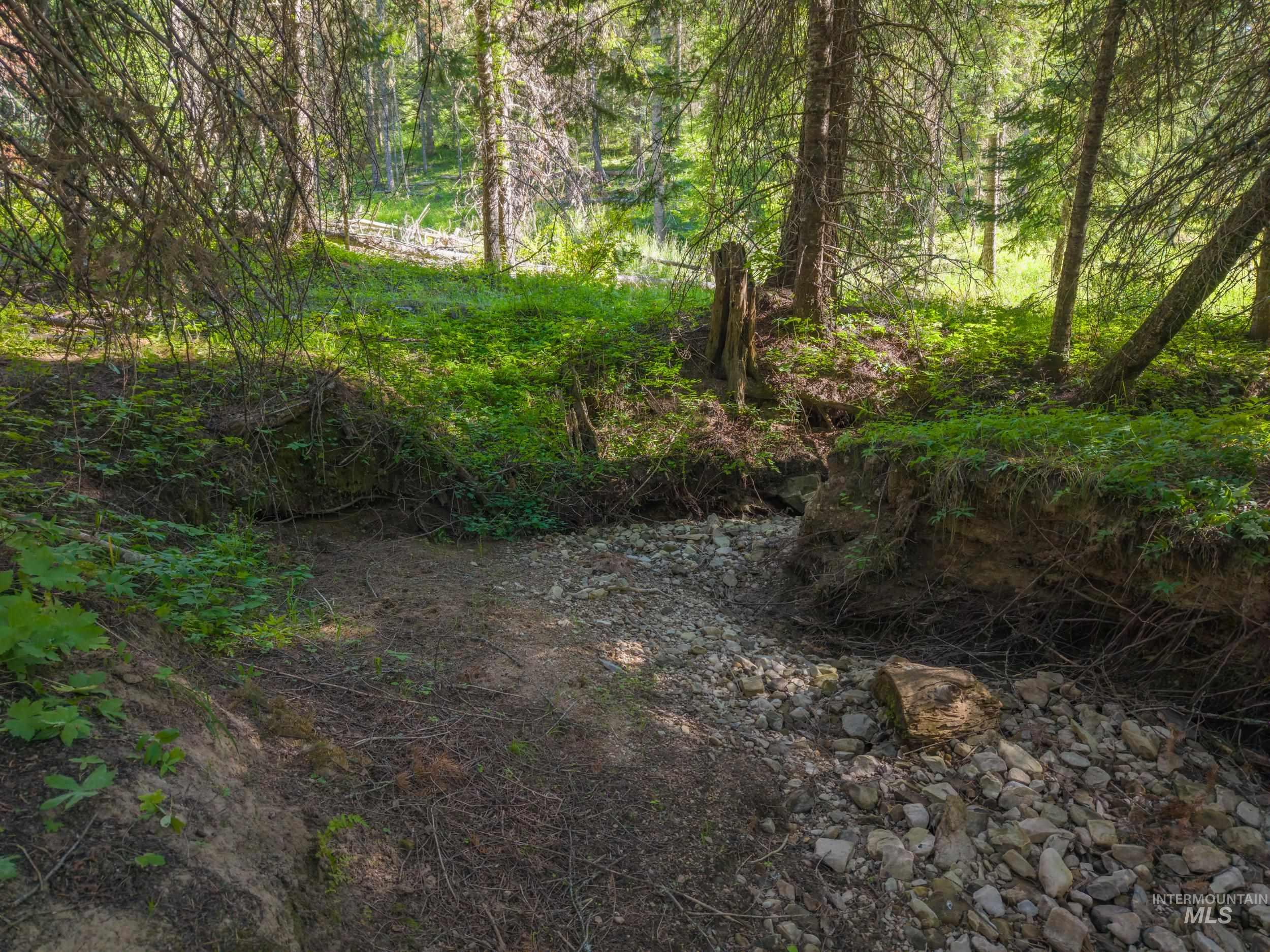 NKA 96 AC Highway 6, Harvard, Idaho 83843, Land For Sale, Price $949,000, 98993373