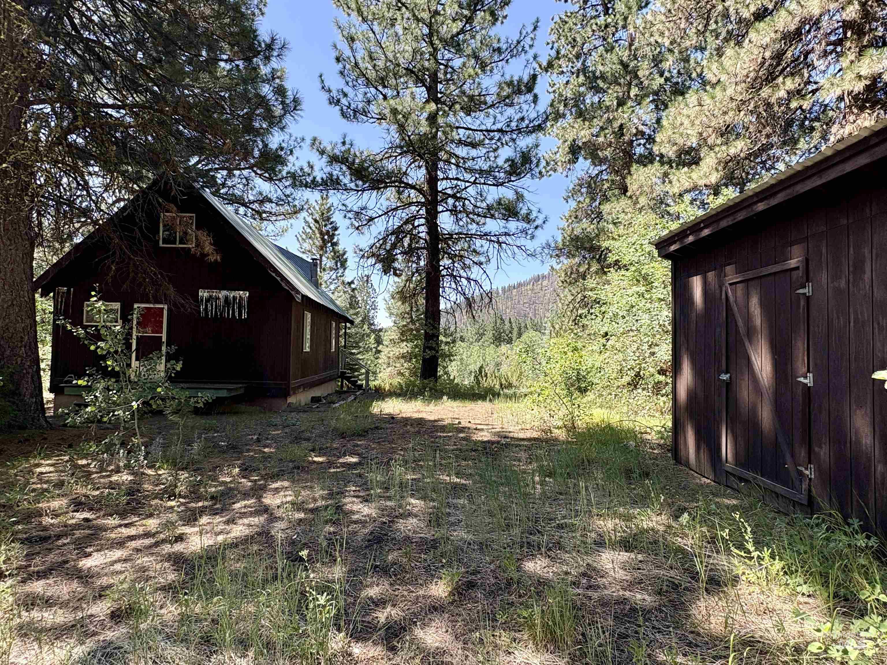 1100 Strawberry Loop Rd, Prairie, Idaho 83647, 1 Bedroom, 1 Bathroom, Residential For Sale, Price $295,000,MLS 98993393