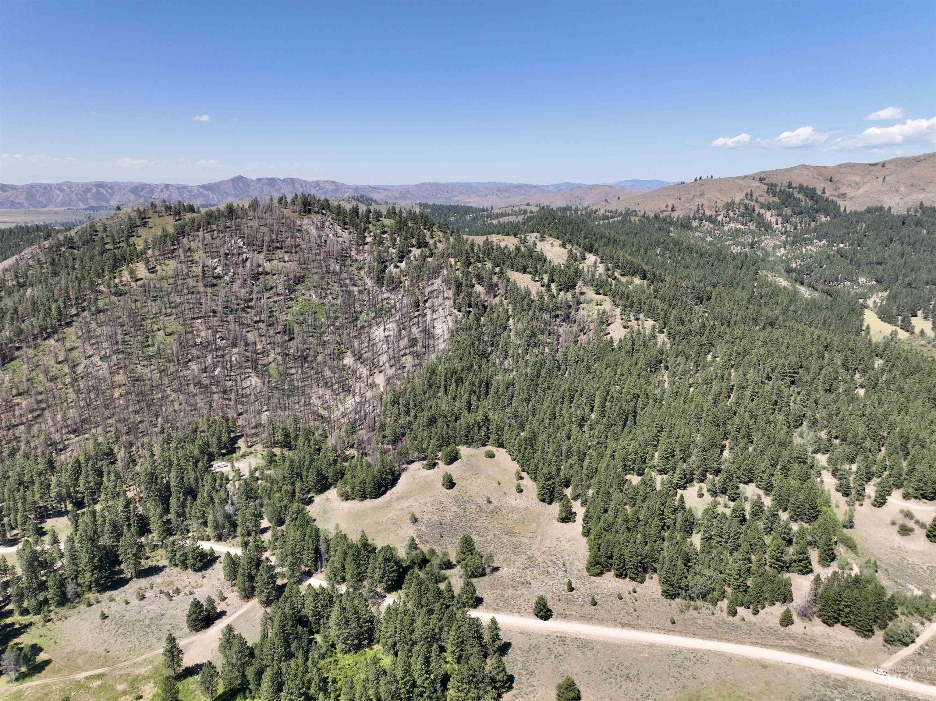 1100 Strawberry Loop Rd, Prairie, Idaho 83647, 1 Bedroom, 1 Bathroom, Residential For Sale, Price $295,000,MLS 98993393